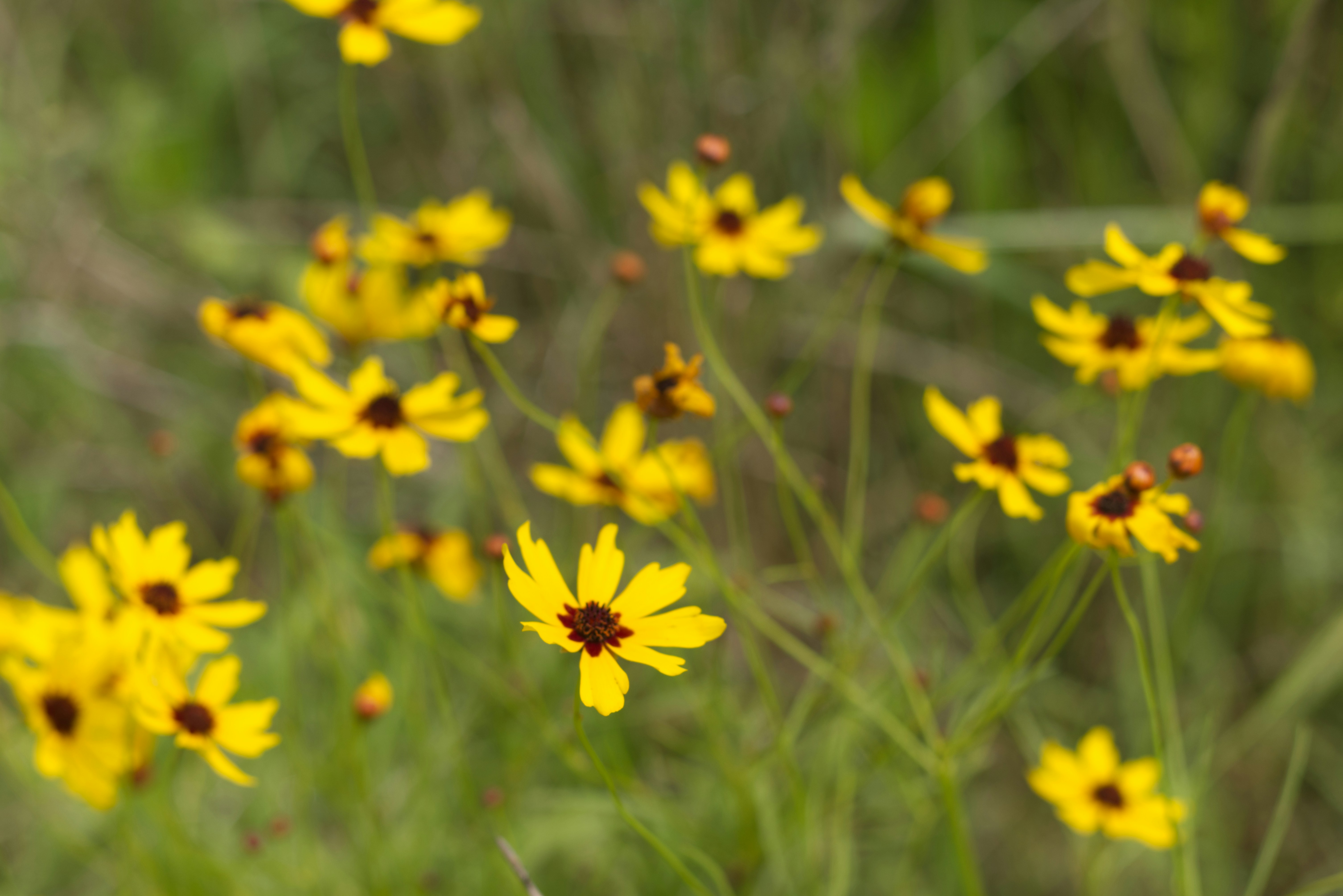 Photo by capturedbyk