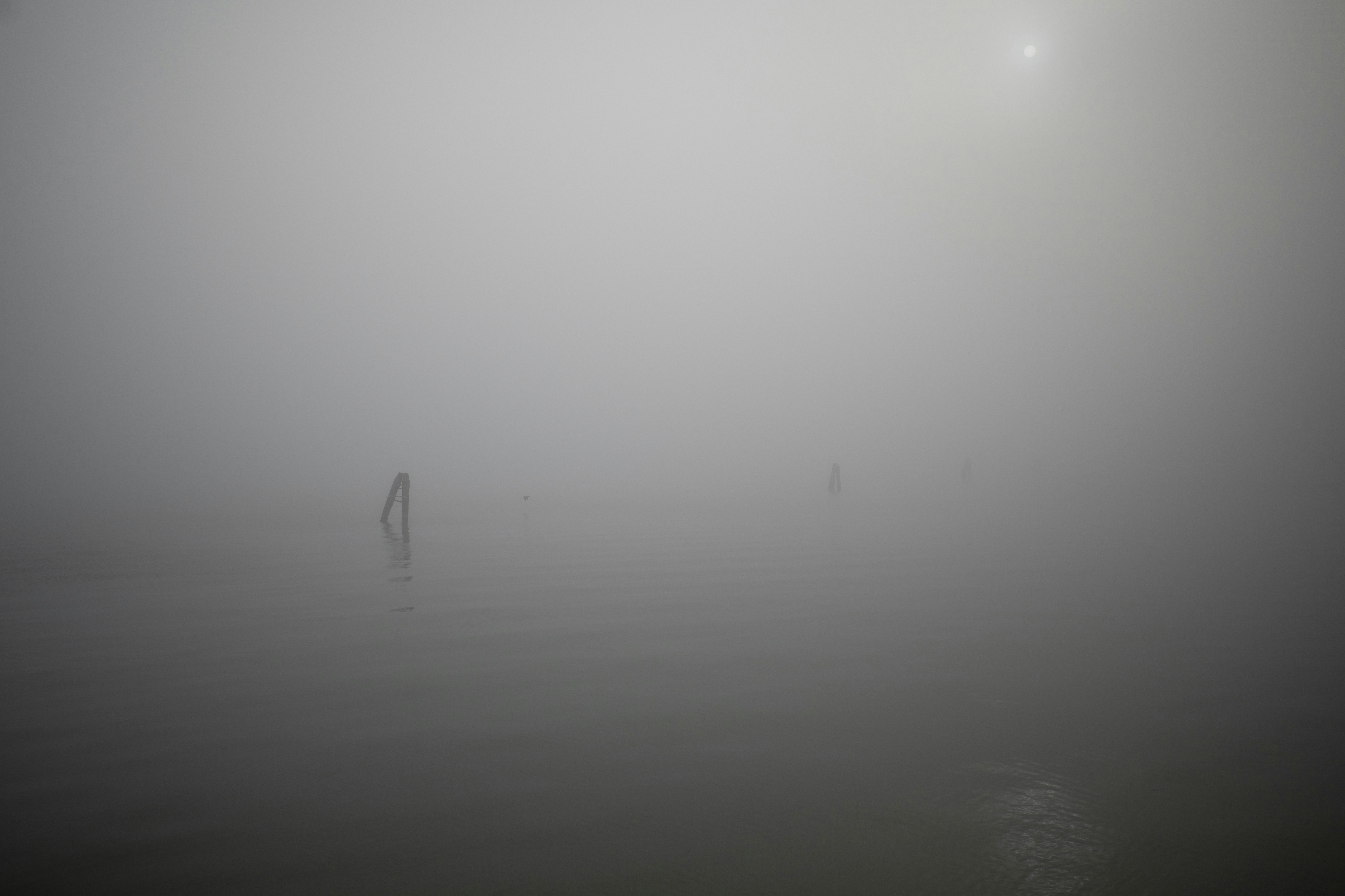 Two posts in a foggy body of water.