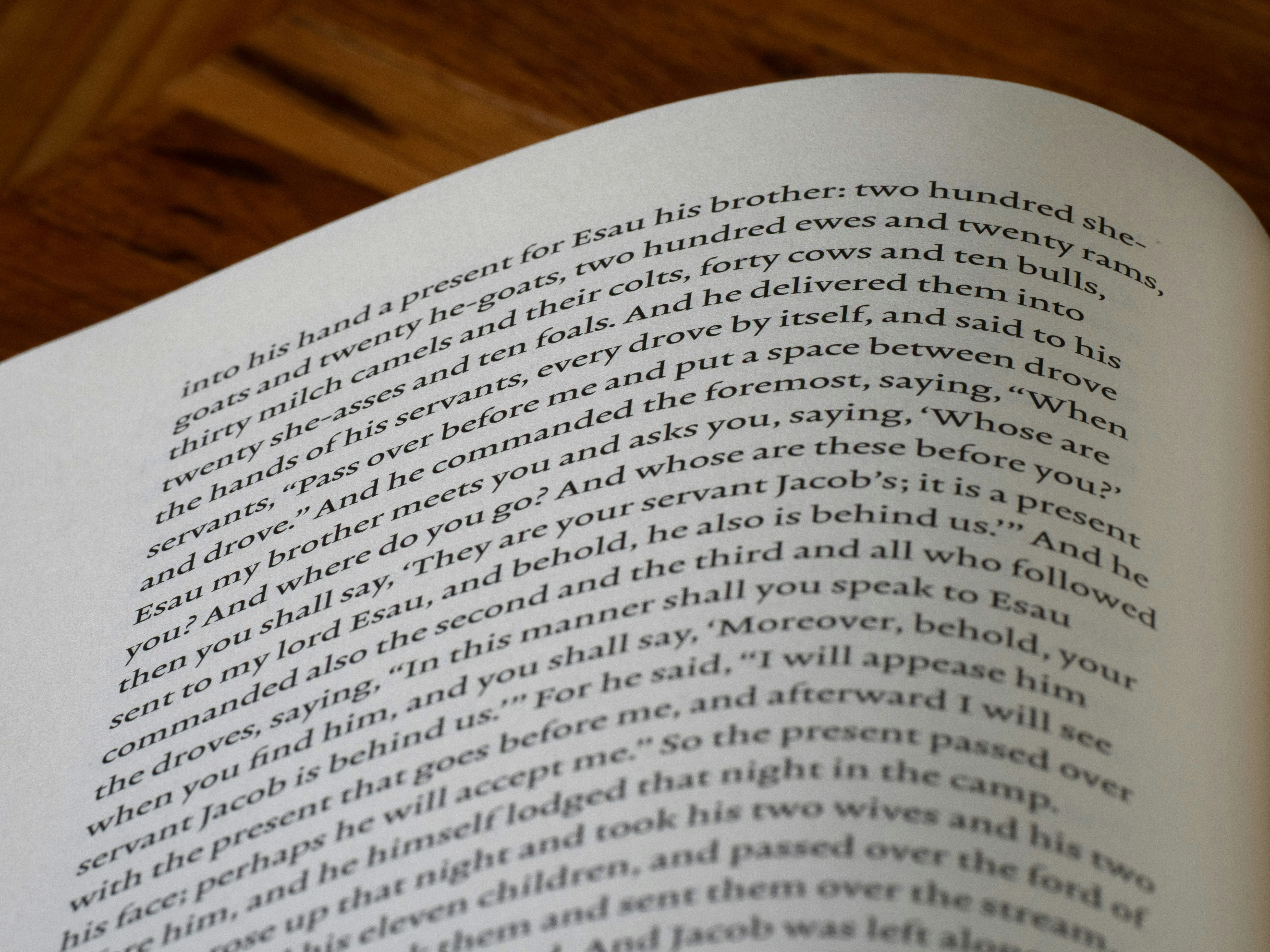 Photo by brett_jordan