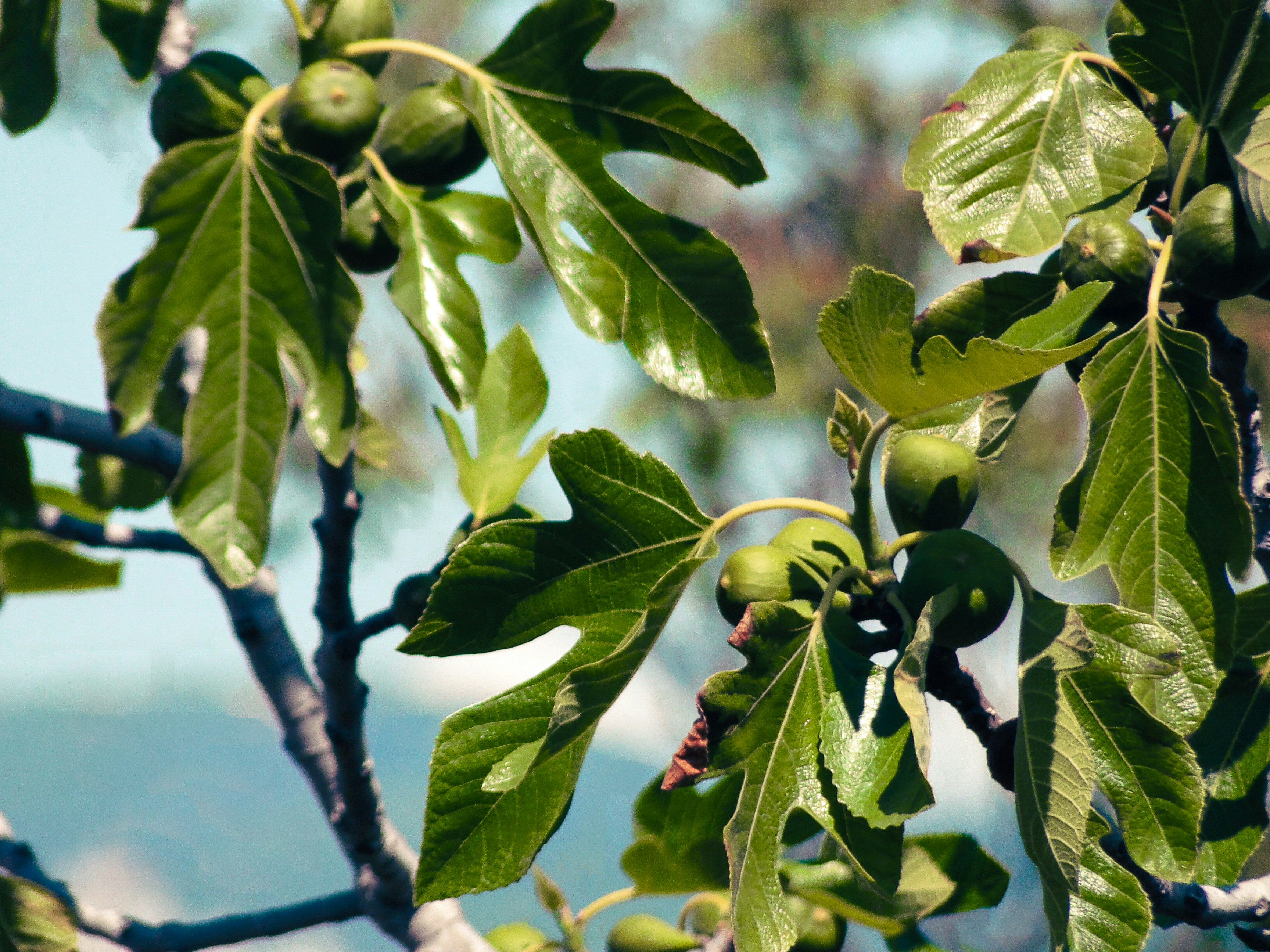 Photo by mervebayat19