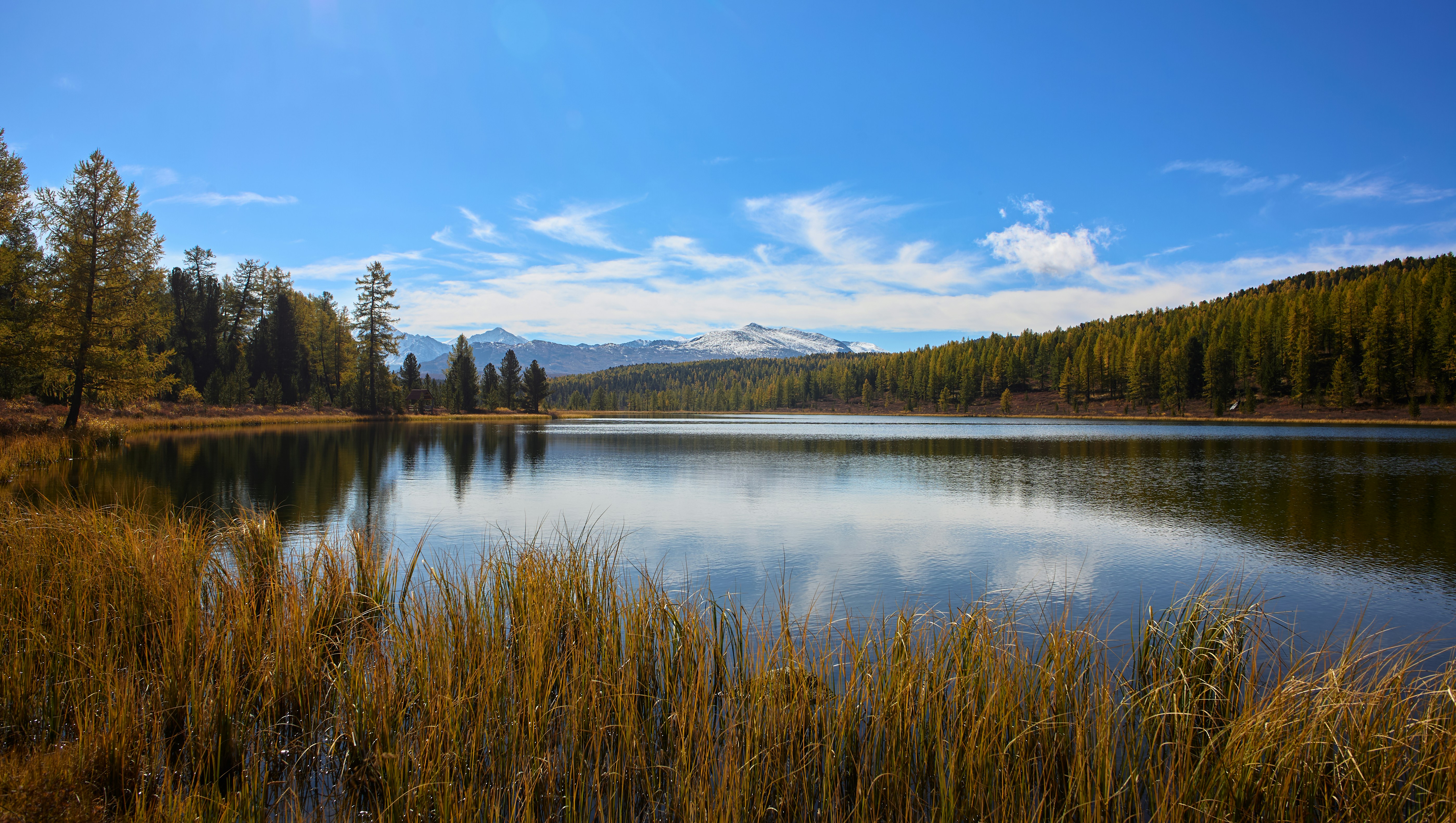 Photo by artemdanilkin