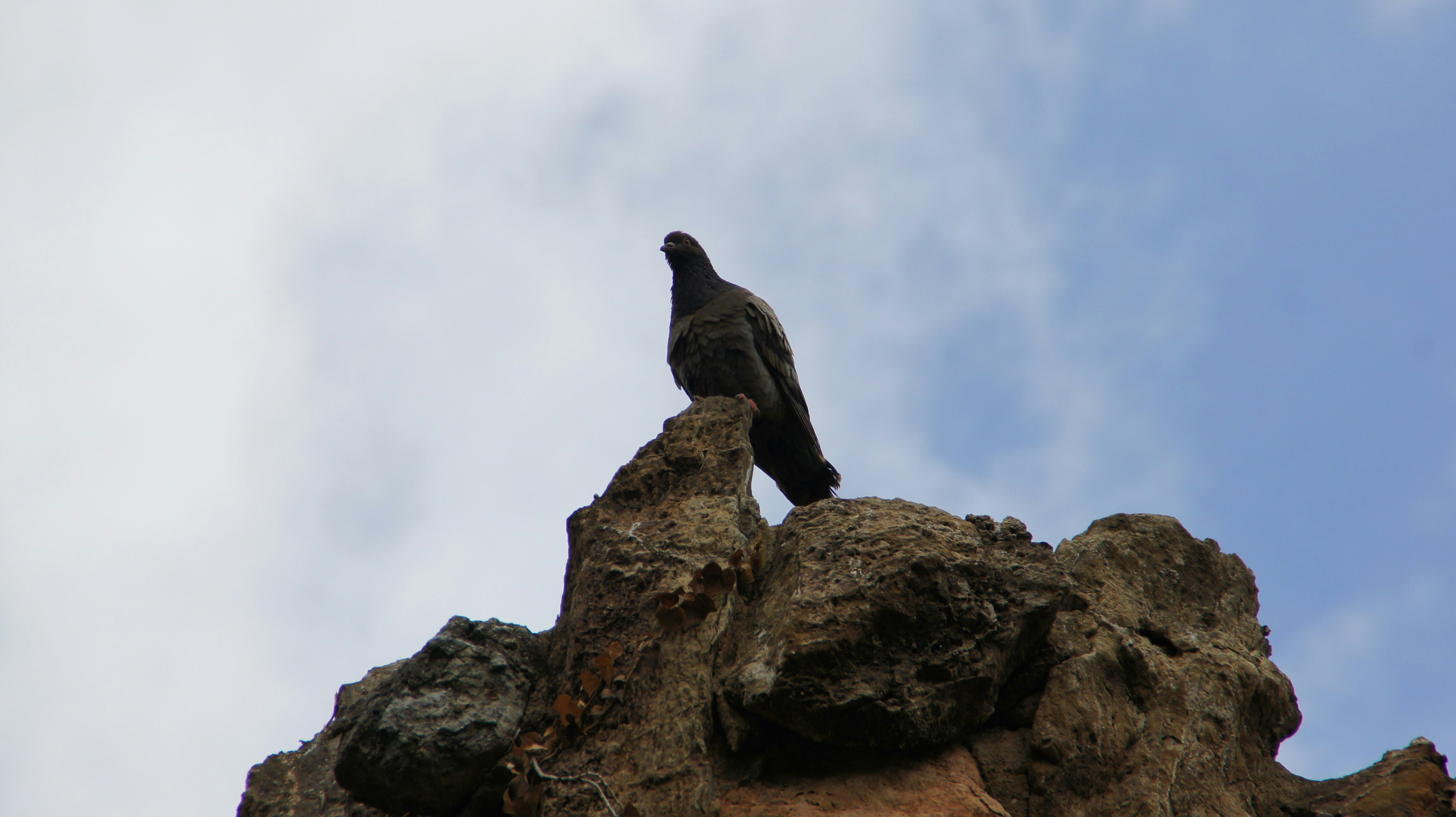 Photo by amuzenhardt