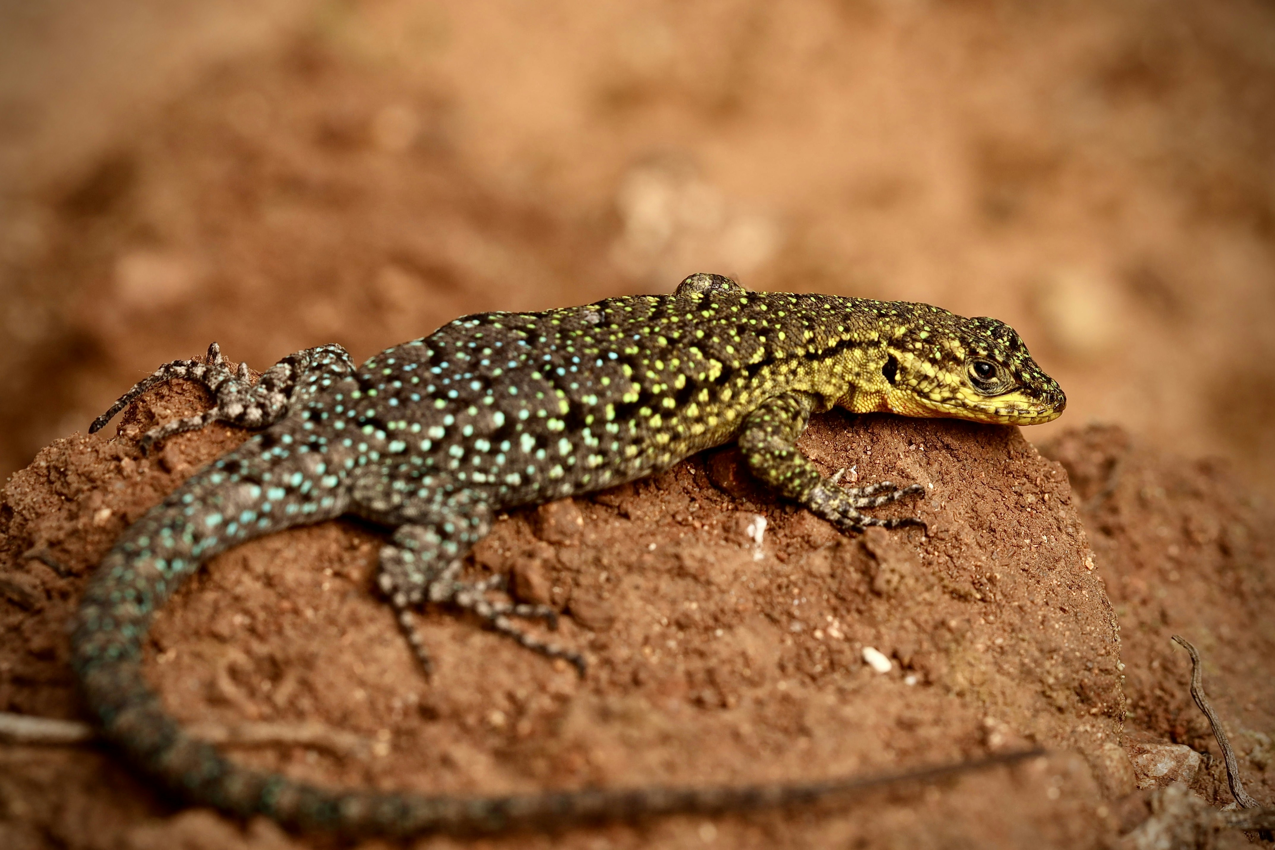 Photo by viajeenparacaidas