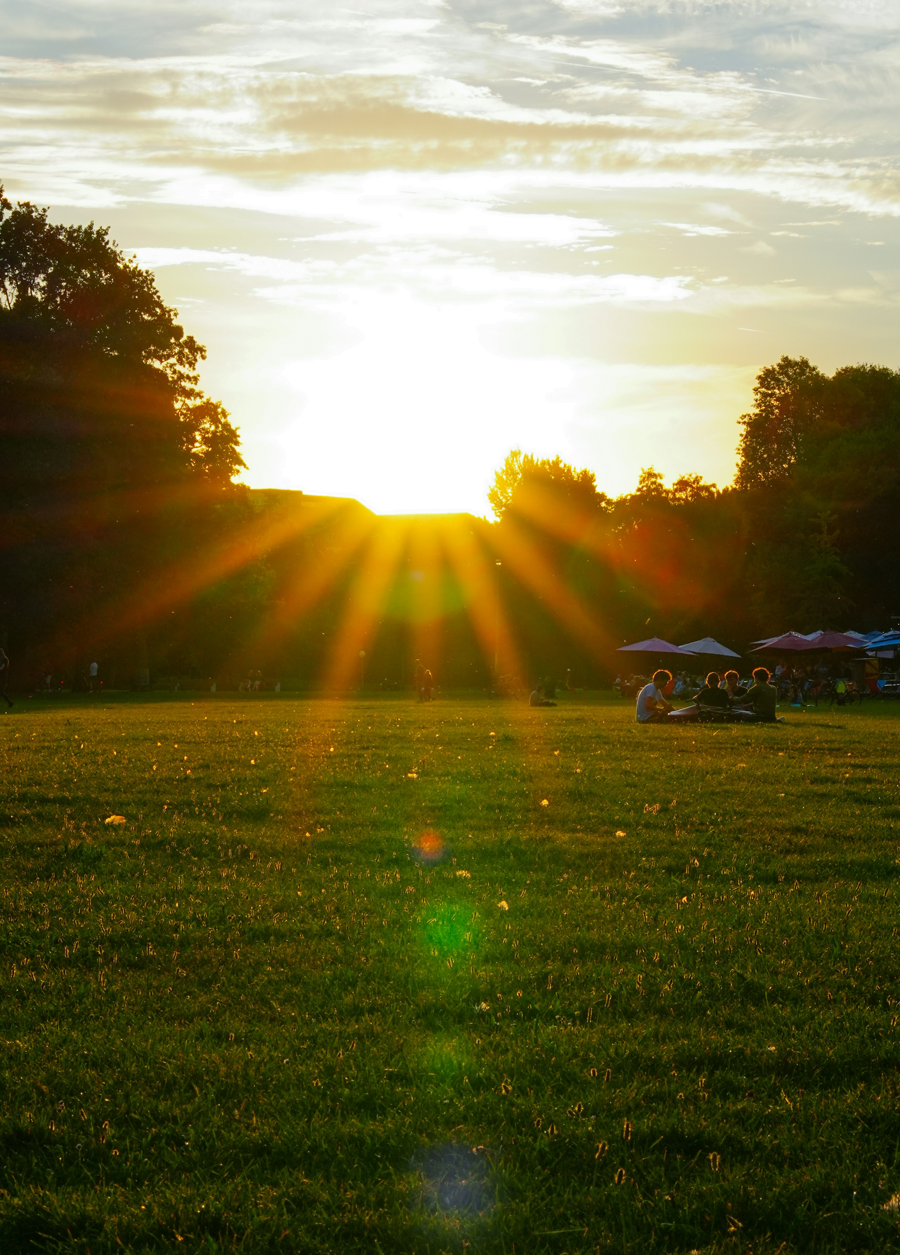 Golden sunbeams shine over a grassy park at sunset.
