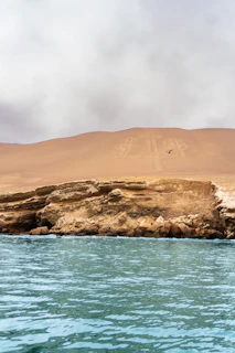 Desert landscape with ancient geoglyph and ocean