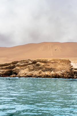 Desert landscape with ancient geoglyph and ocean