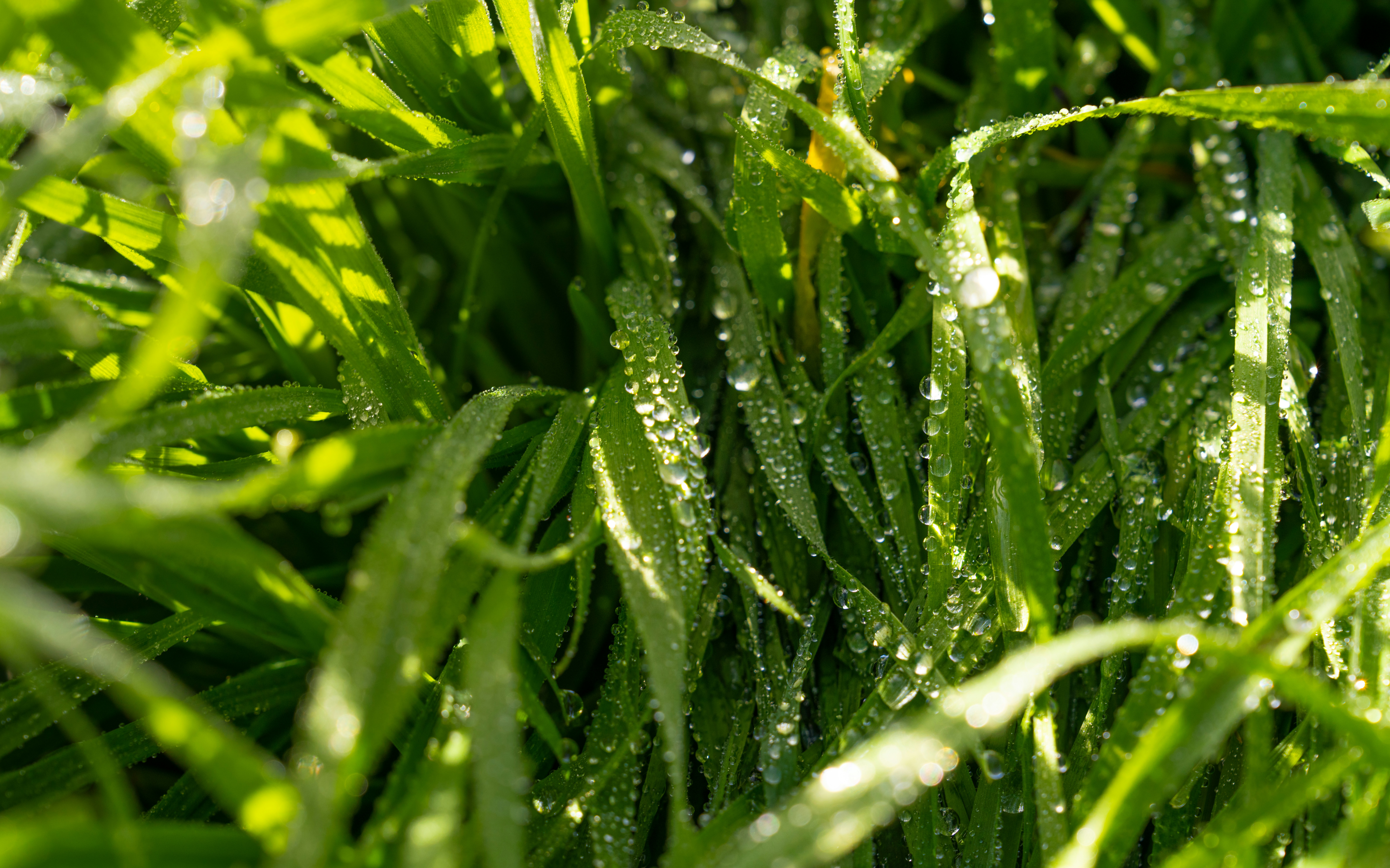 Photo by happy_pixel