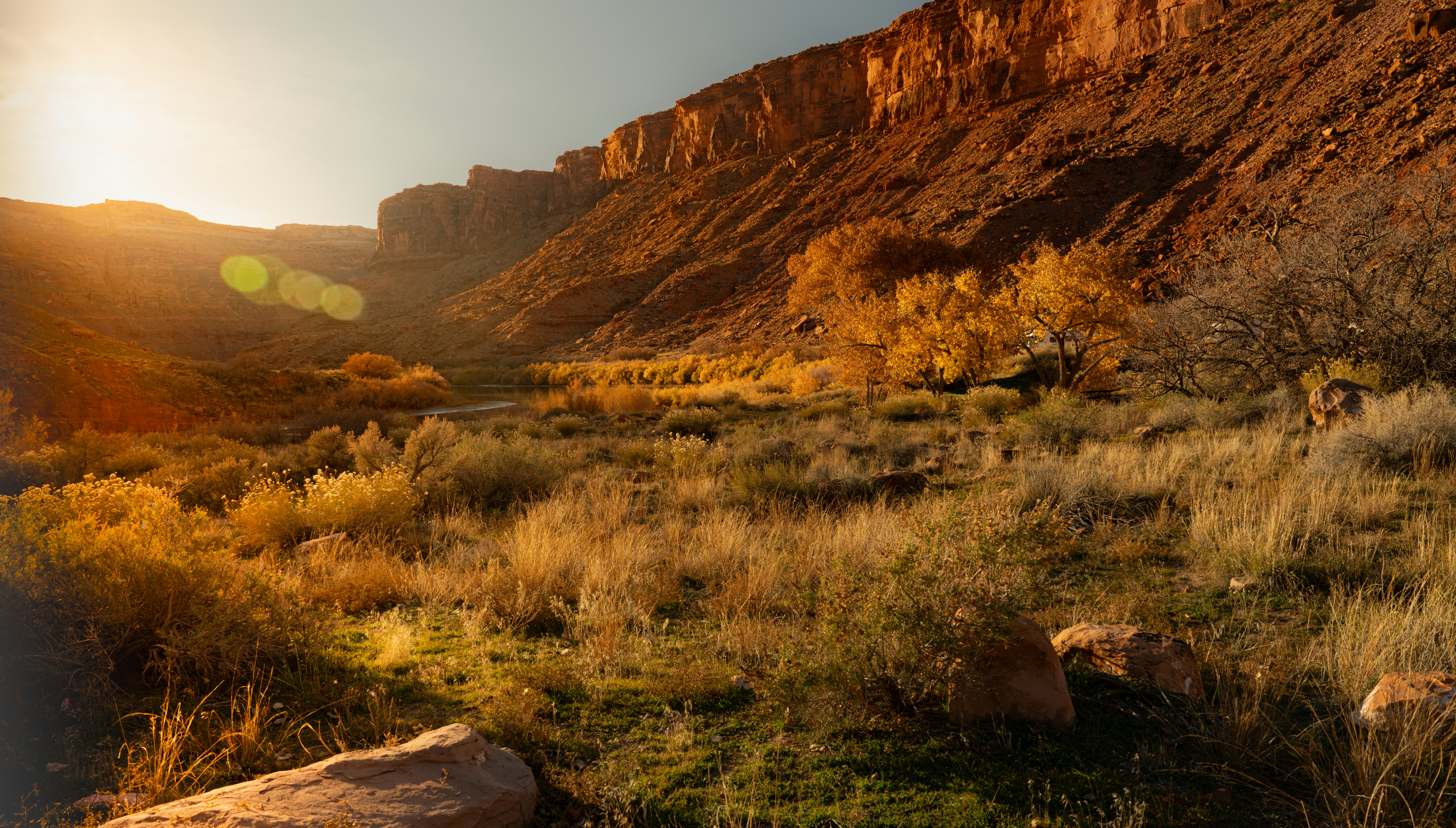 Photo by happy_pixel