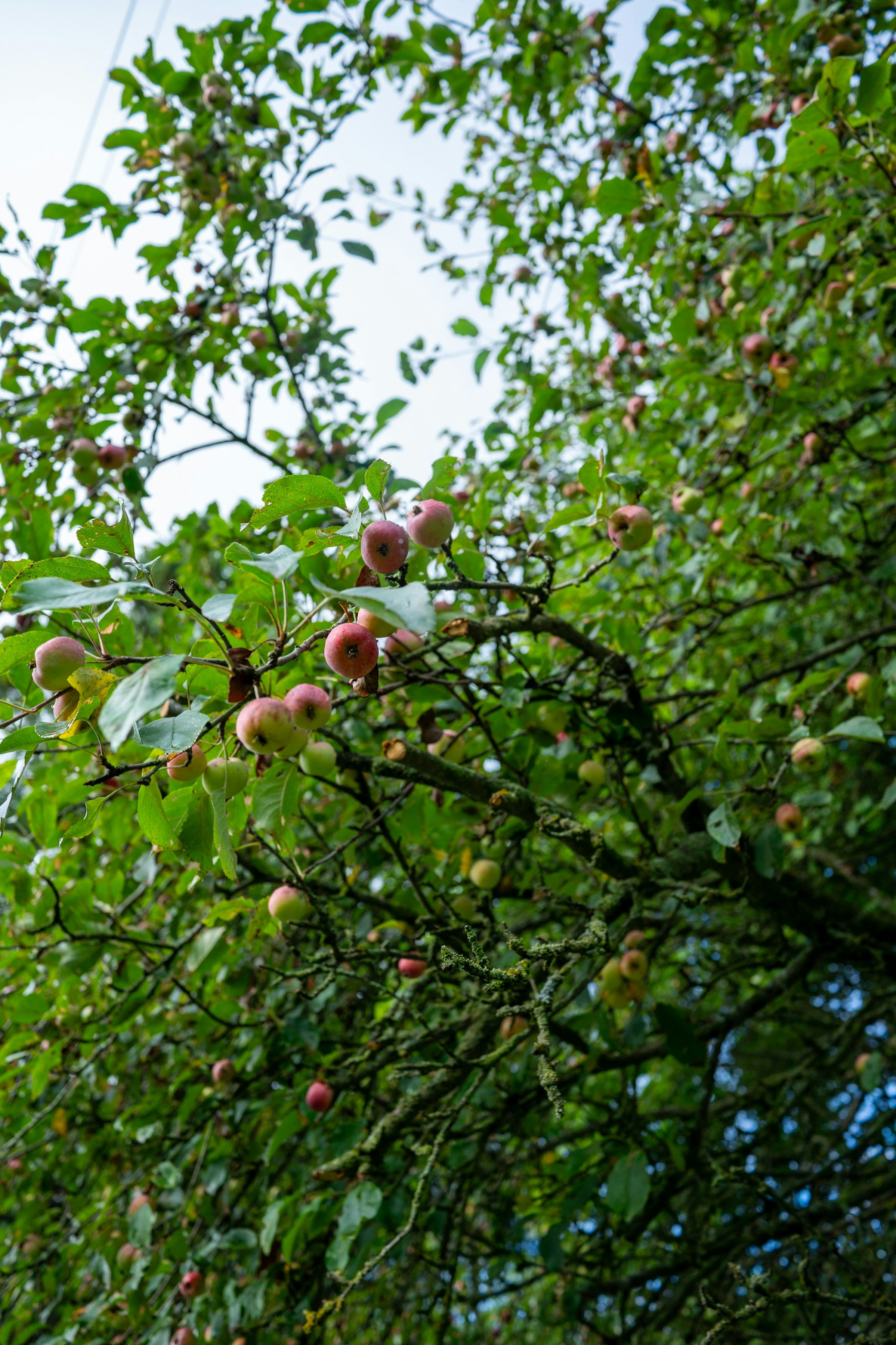 Photo by oliveevephoto