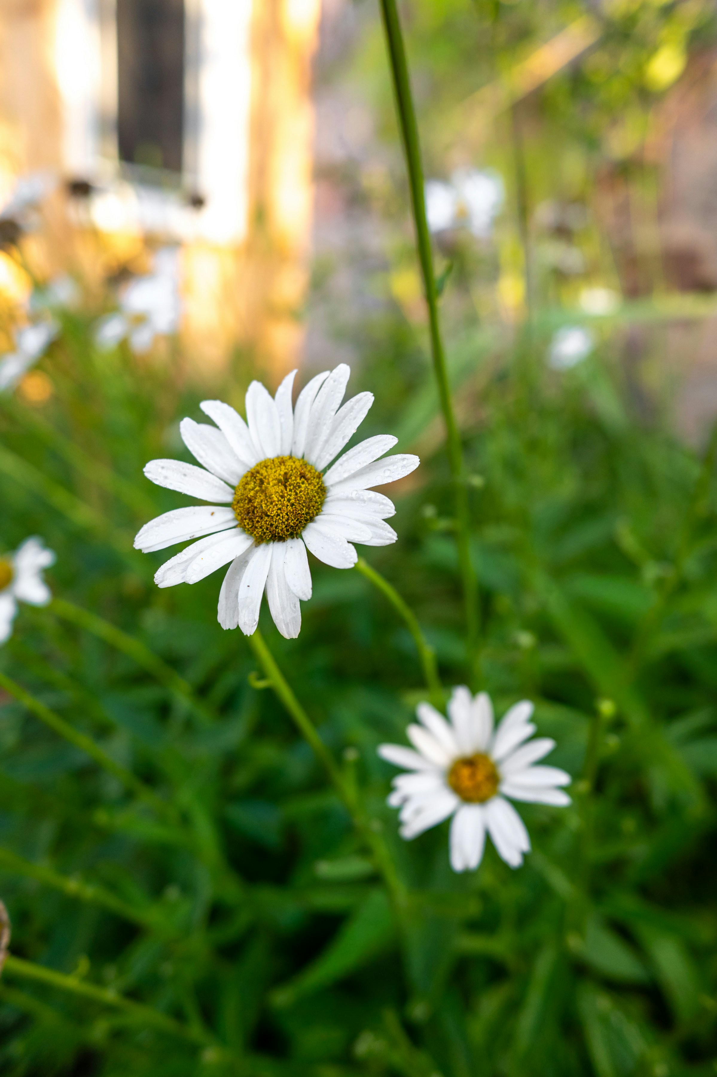 Photo by oliveevephoto