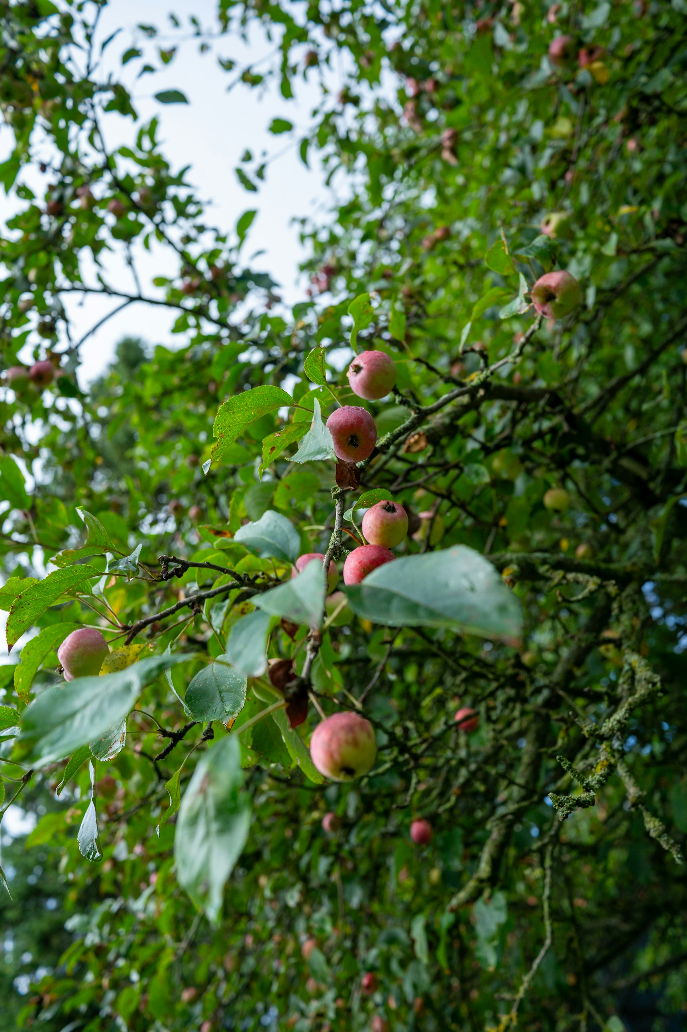 Photo by oliveevephoto