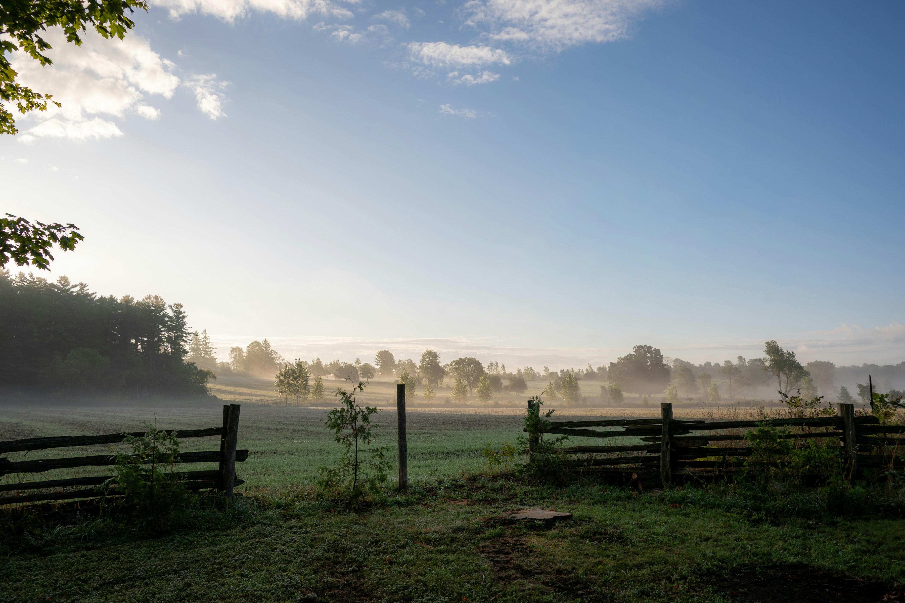 Photo by oliveevephoto