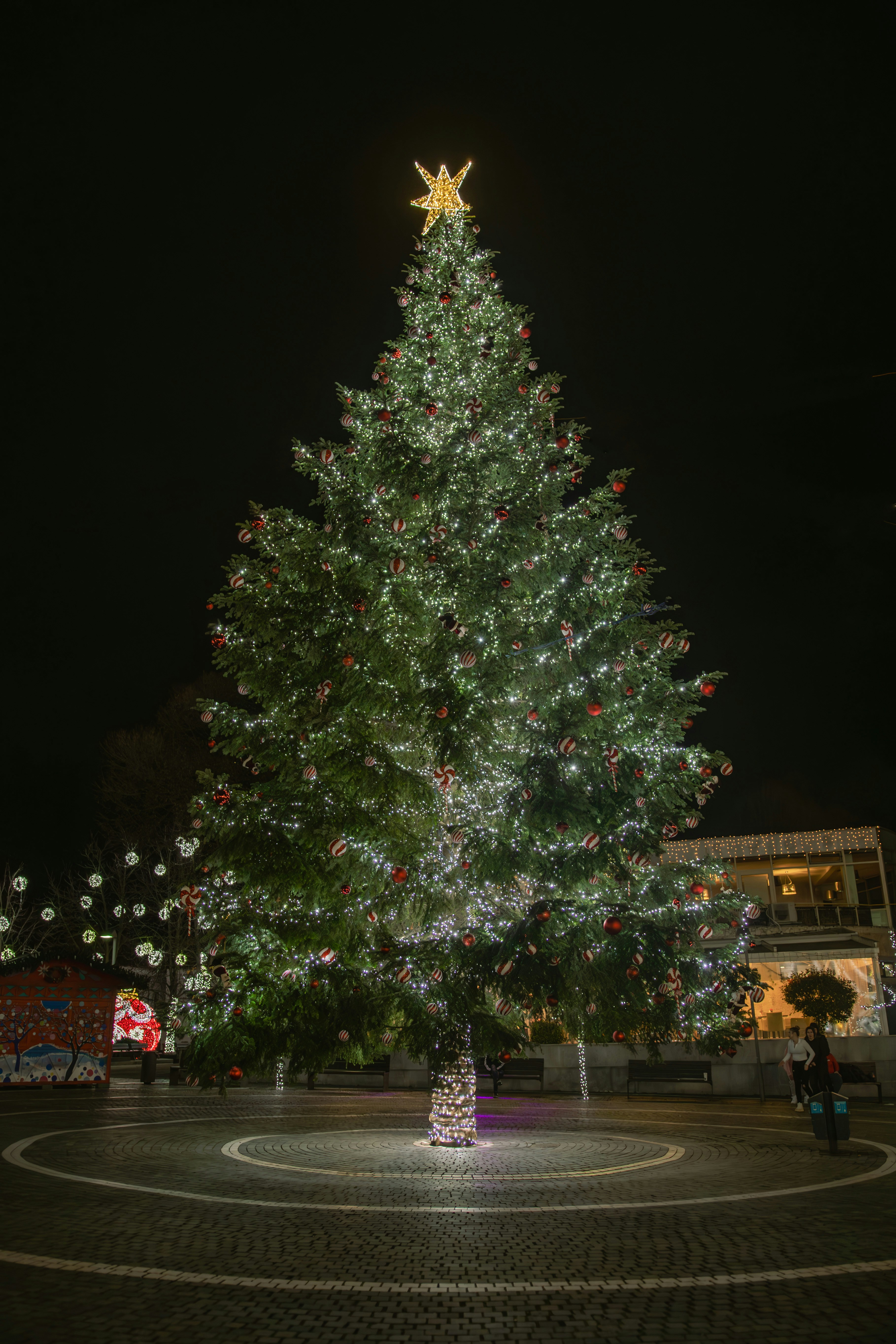 Photo by adialbulescu