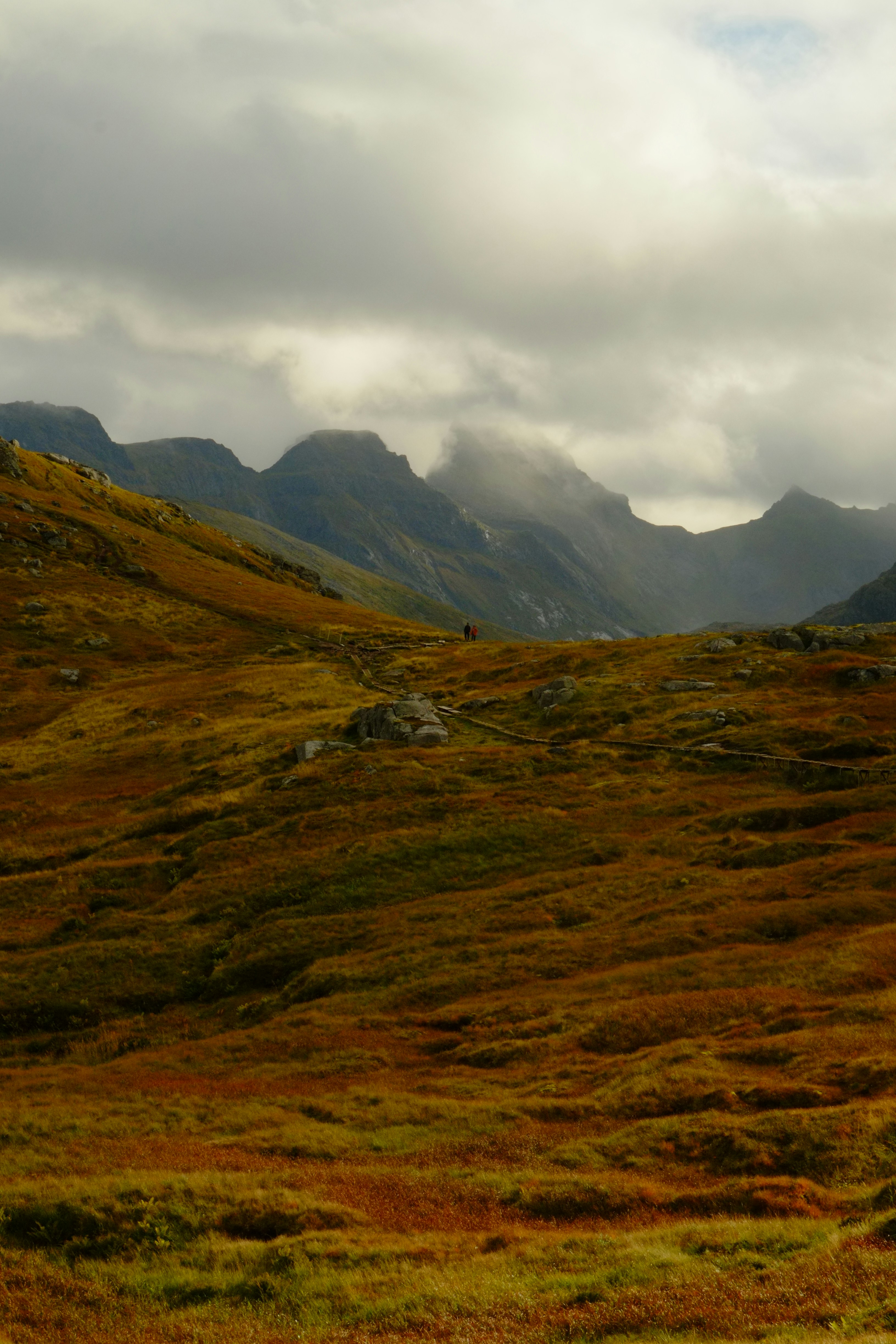 Photo by bernhardbar