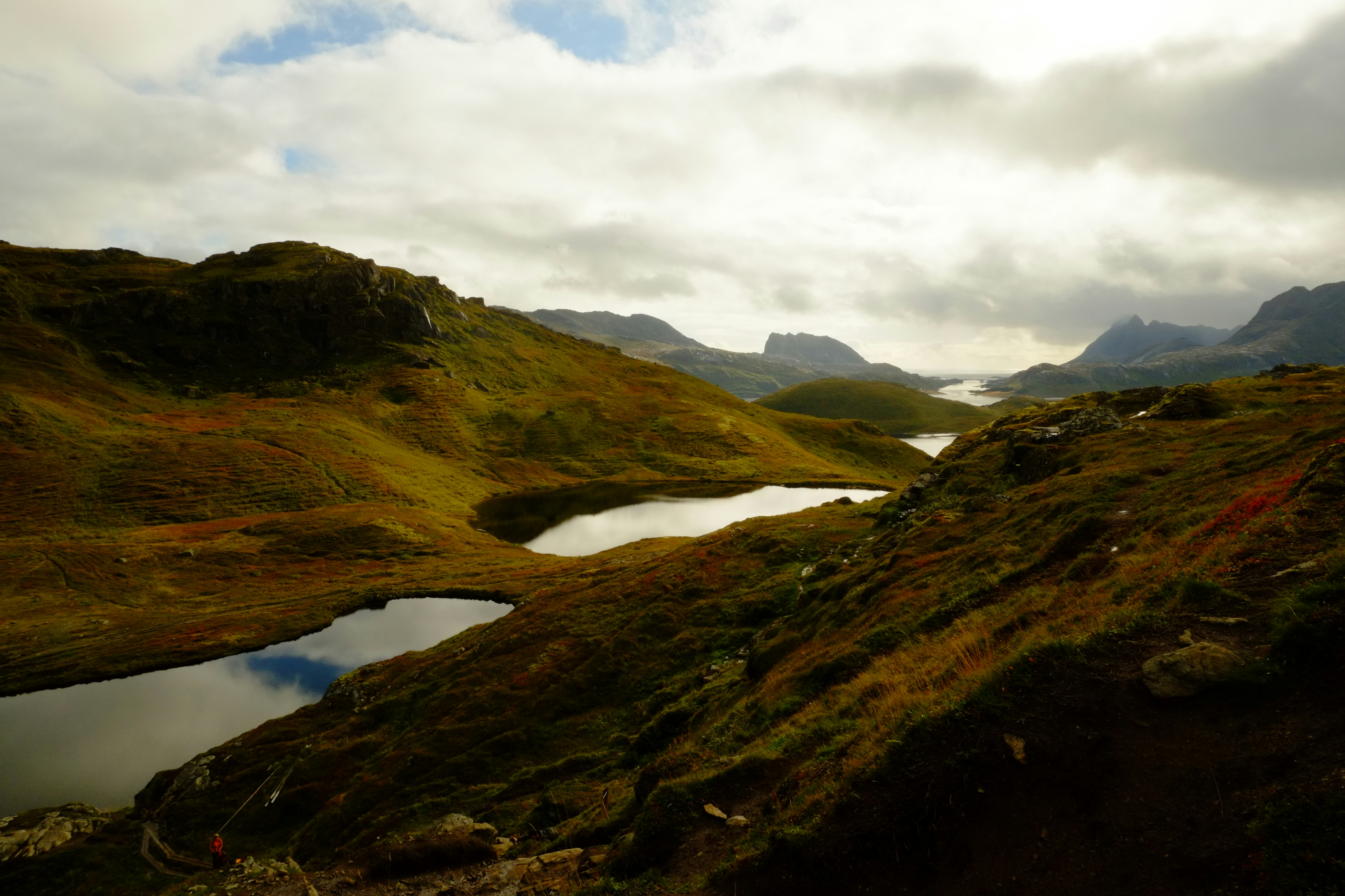 Photo by bernhardbar