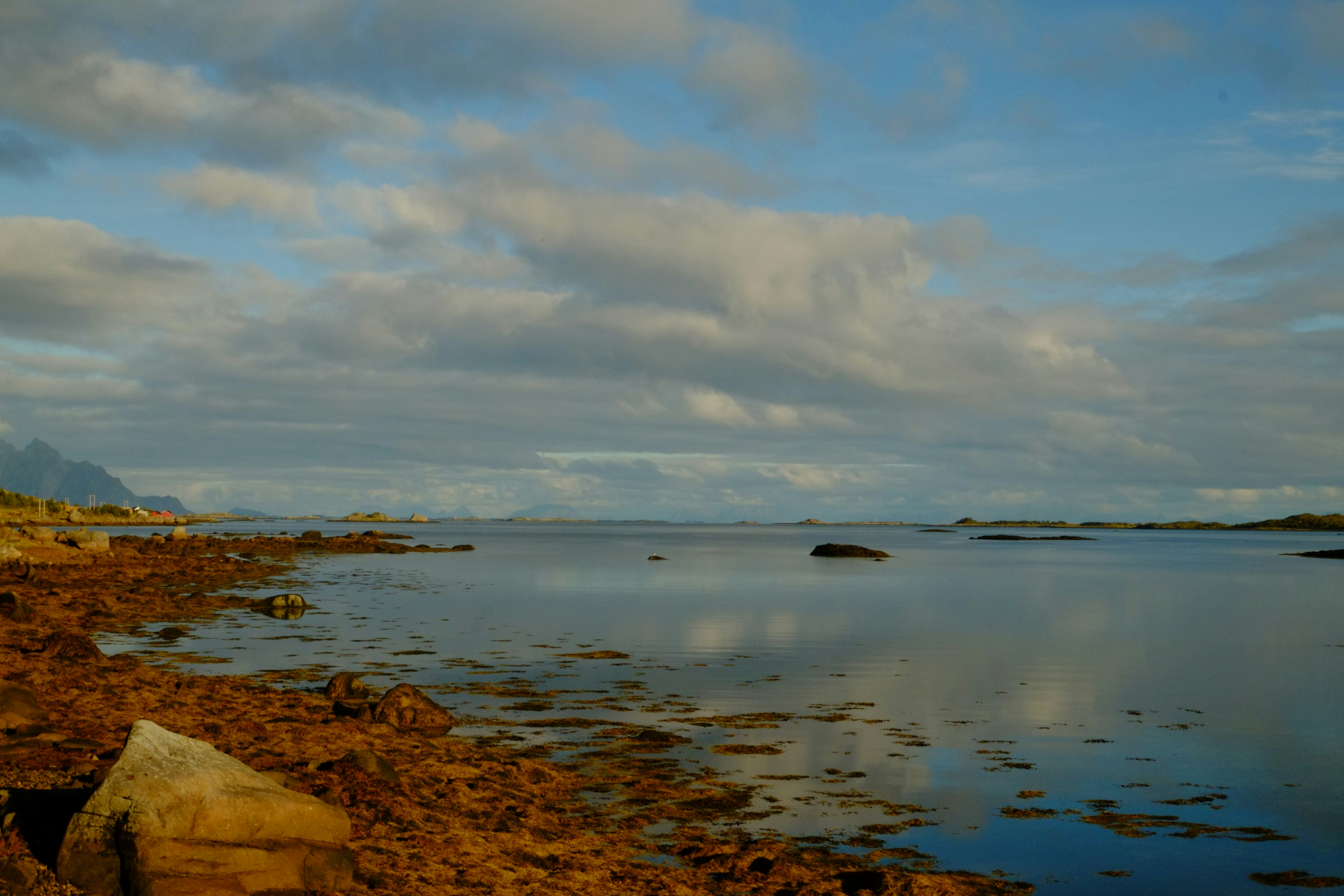 Photo by bernhardbar