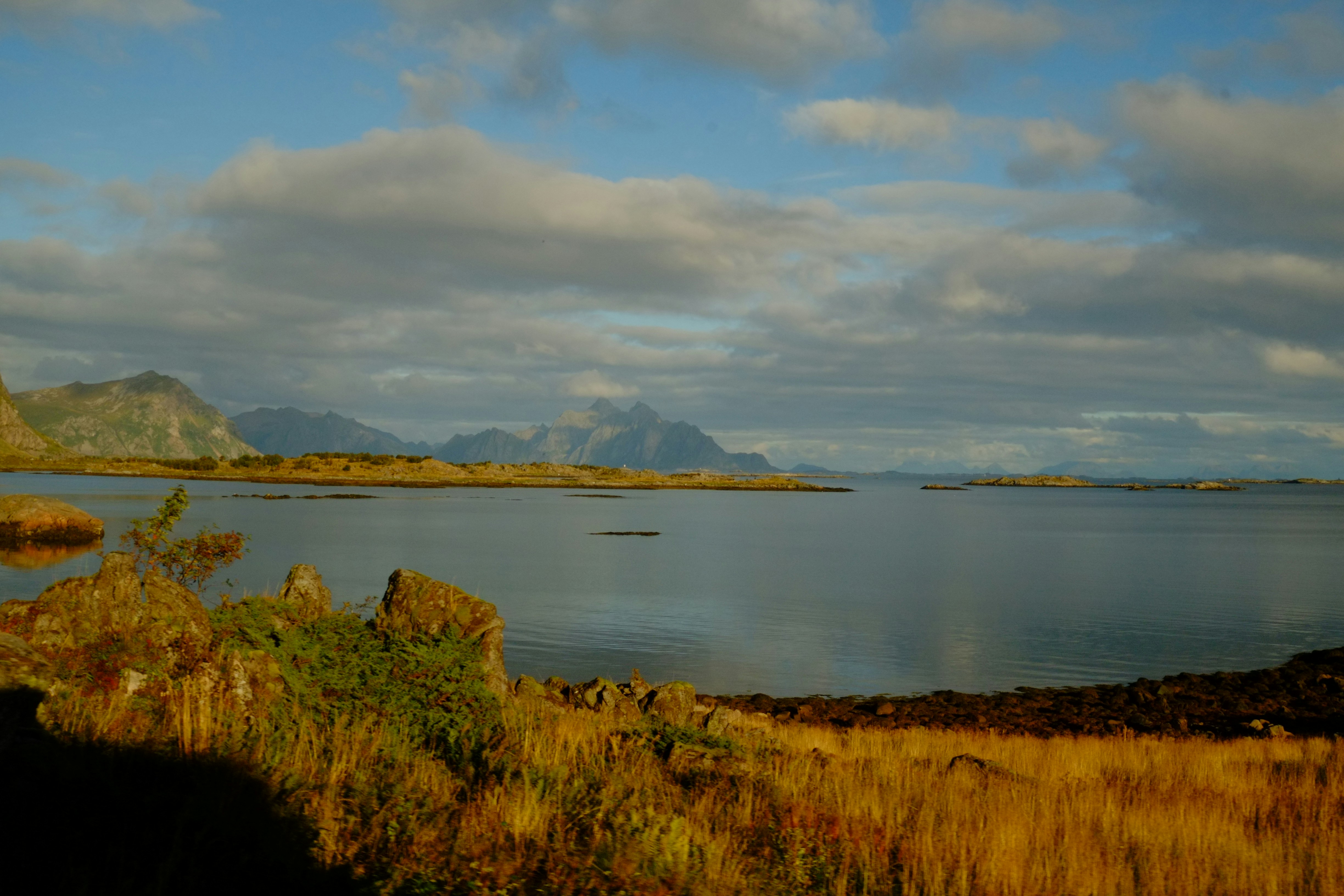 Photo by bernhardbar