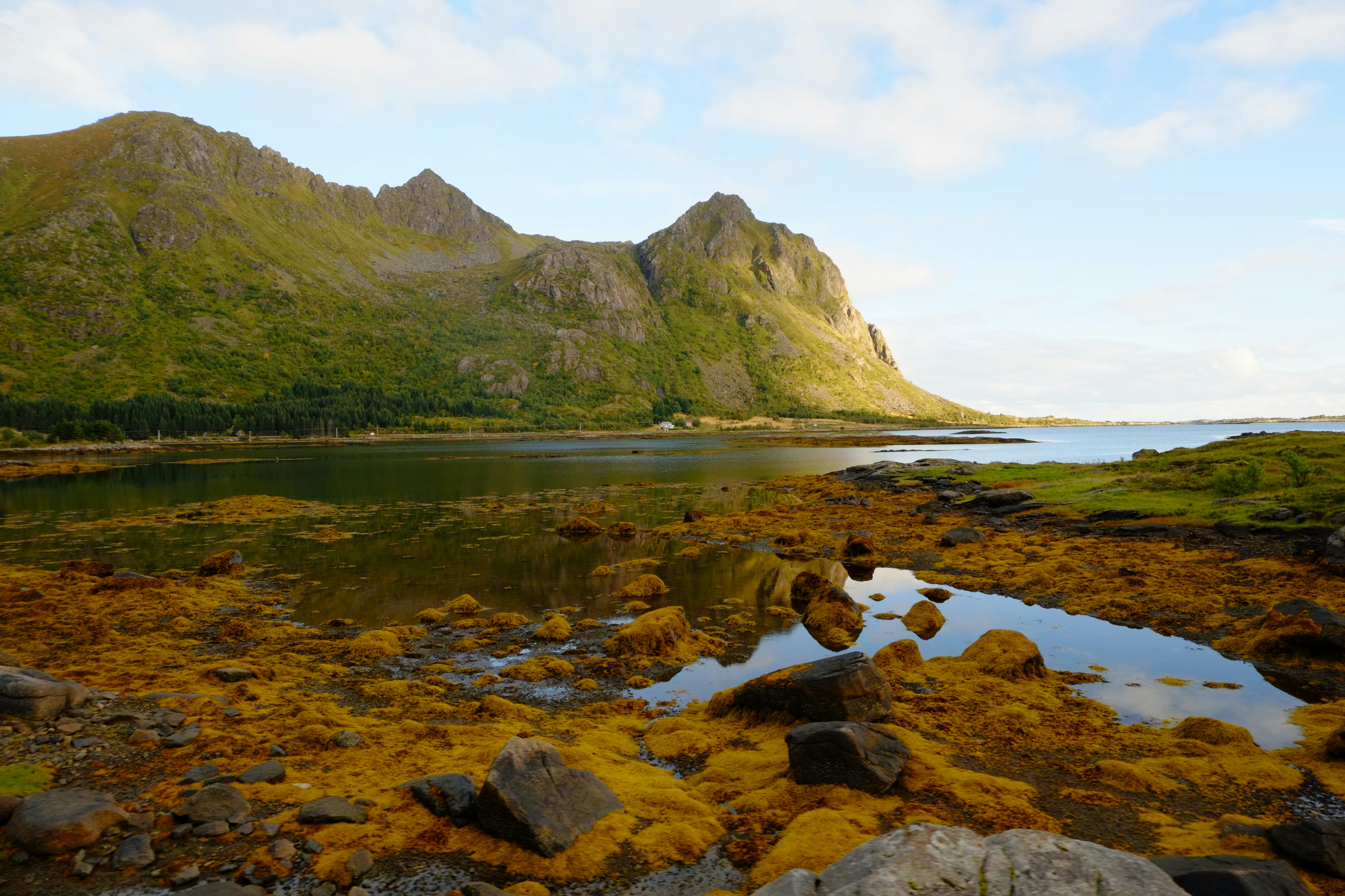 Photo by bernhardbar