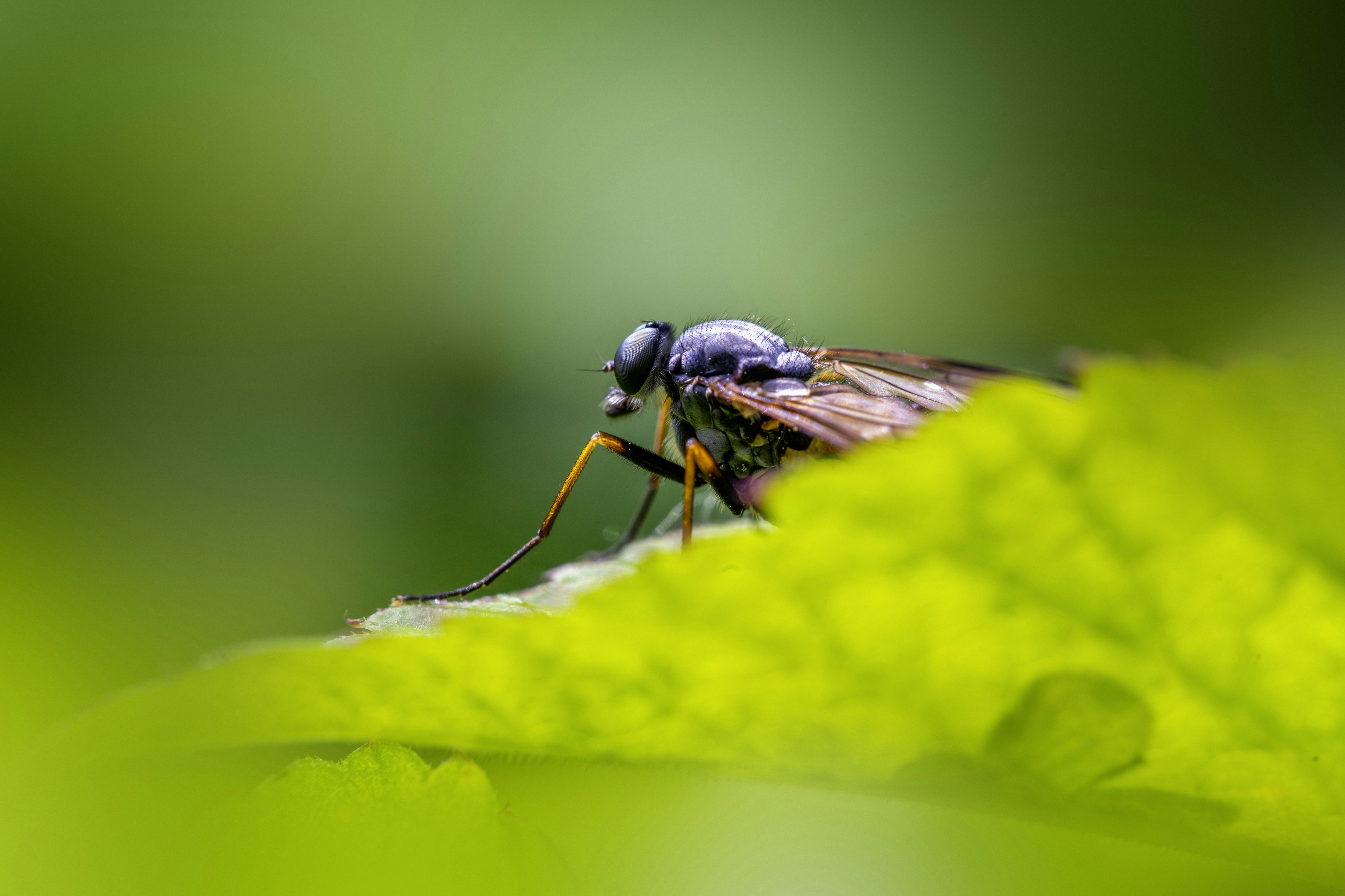 Photo by erik_karits