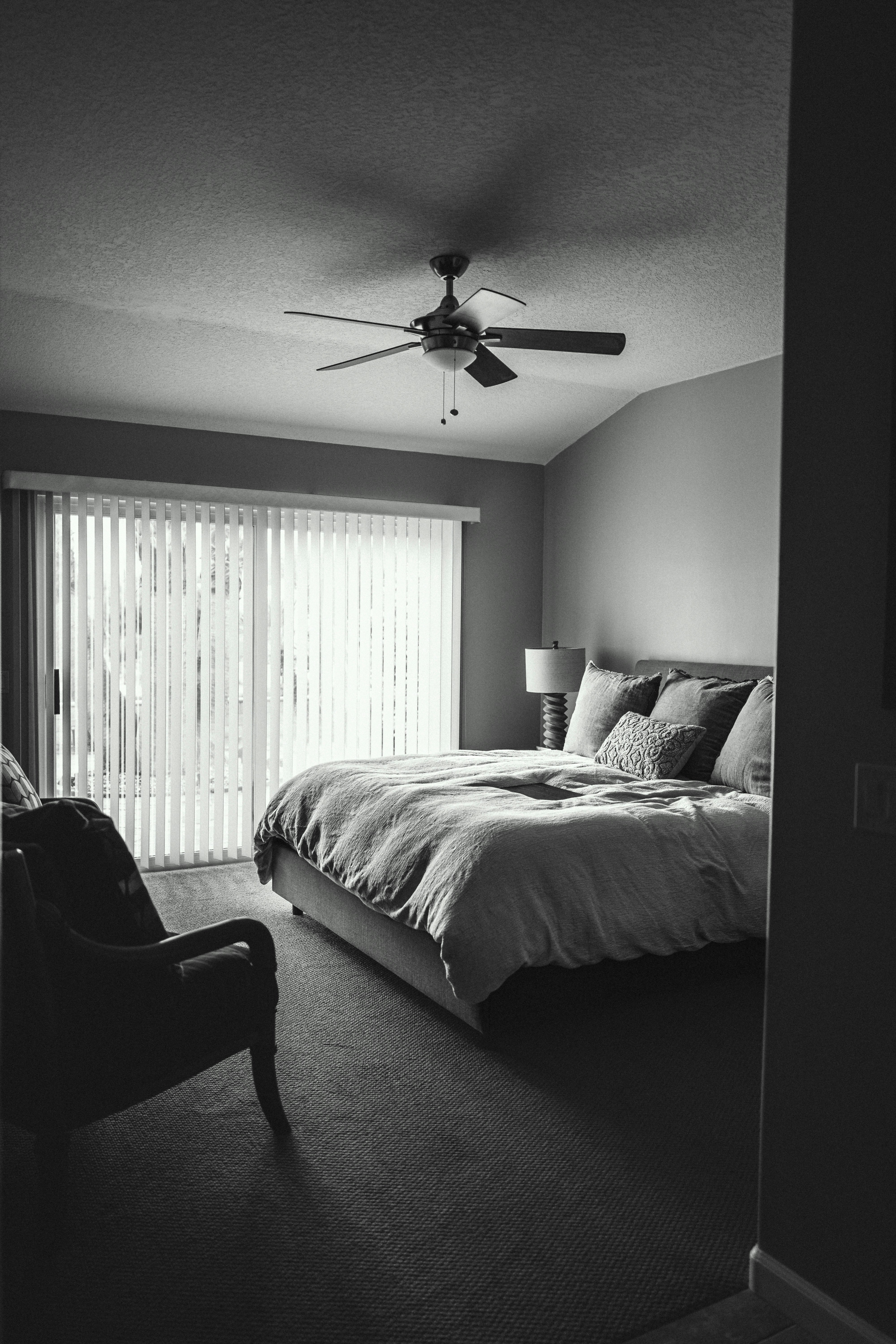 black and white bedroom, wallpaper, Pet-Friendly Guest Rooms: A Comfortable Stay 6