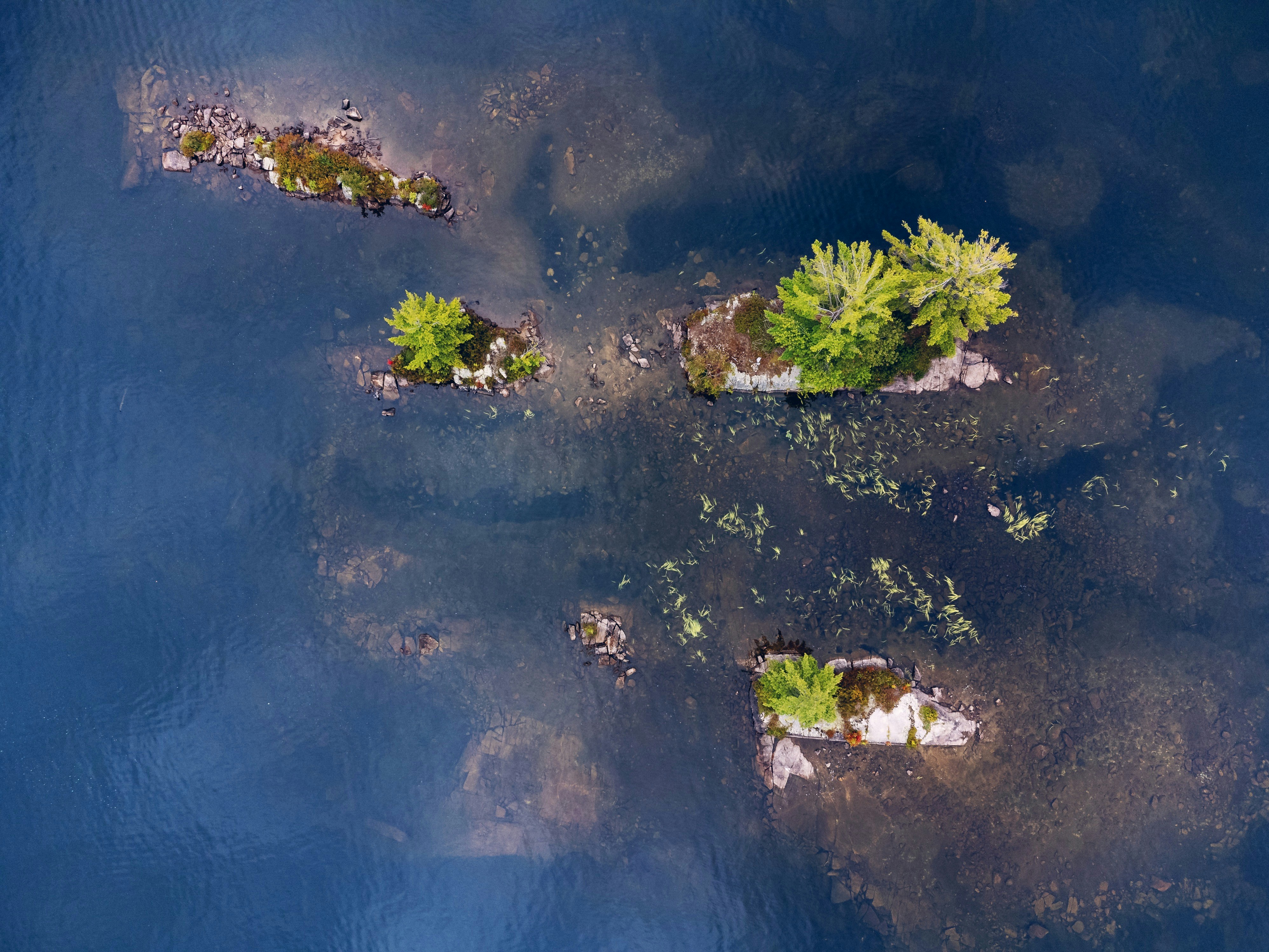 Small islands with trees in dark blue water