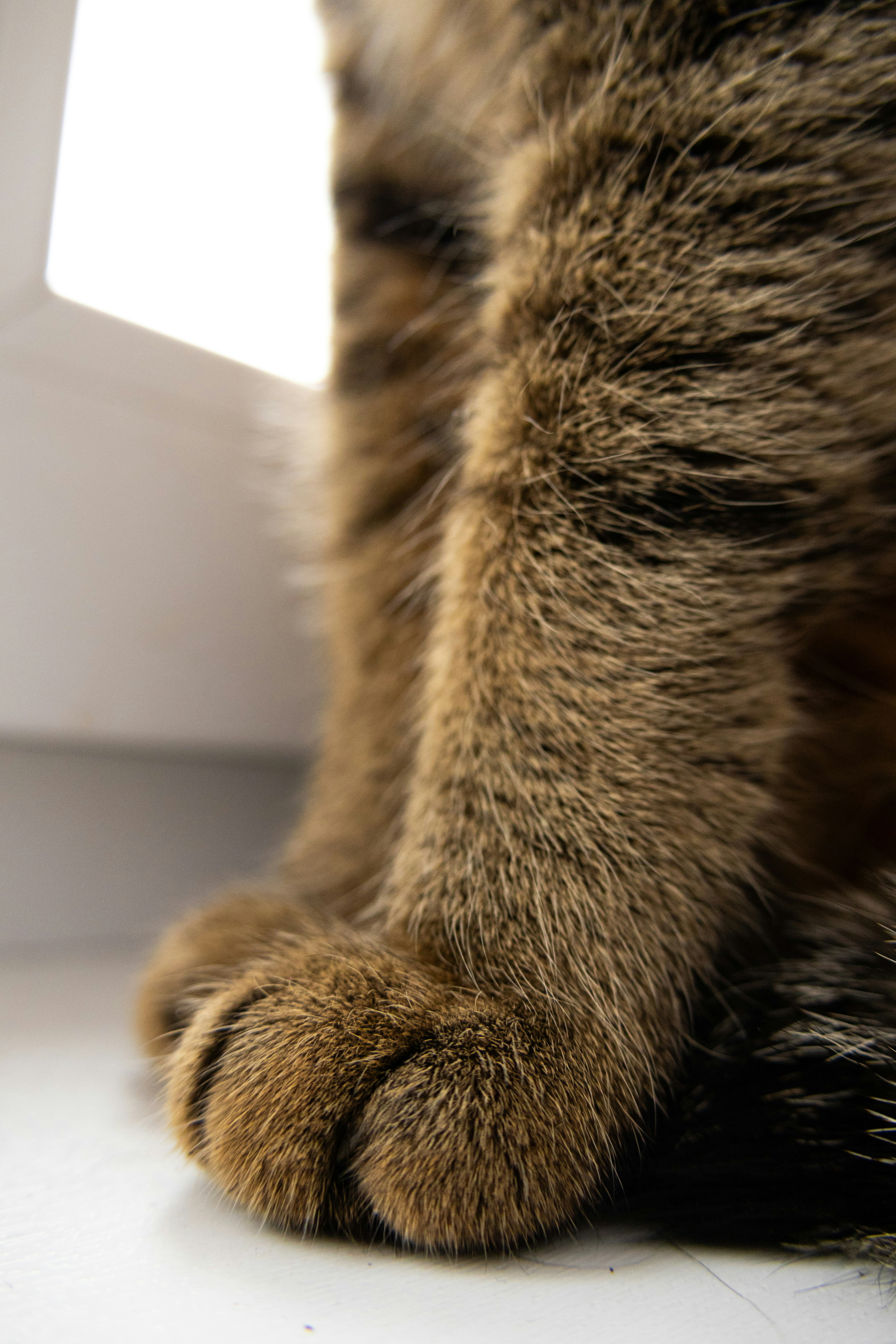 Photo by aidaalibegovic