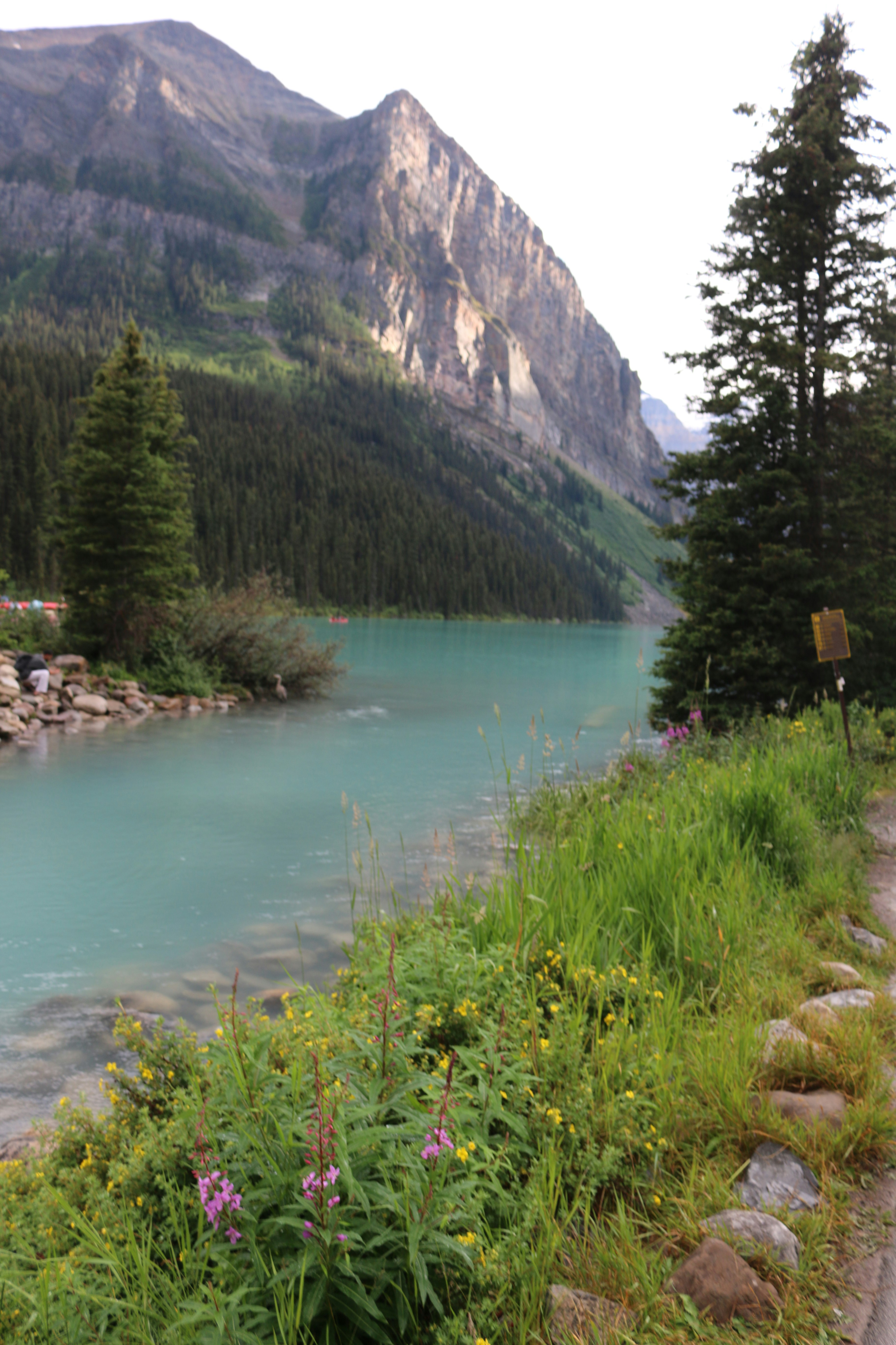 Lac turquoise au bord d’une rive herbeuse avec des montagnes.