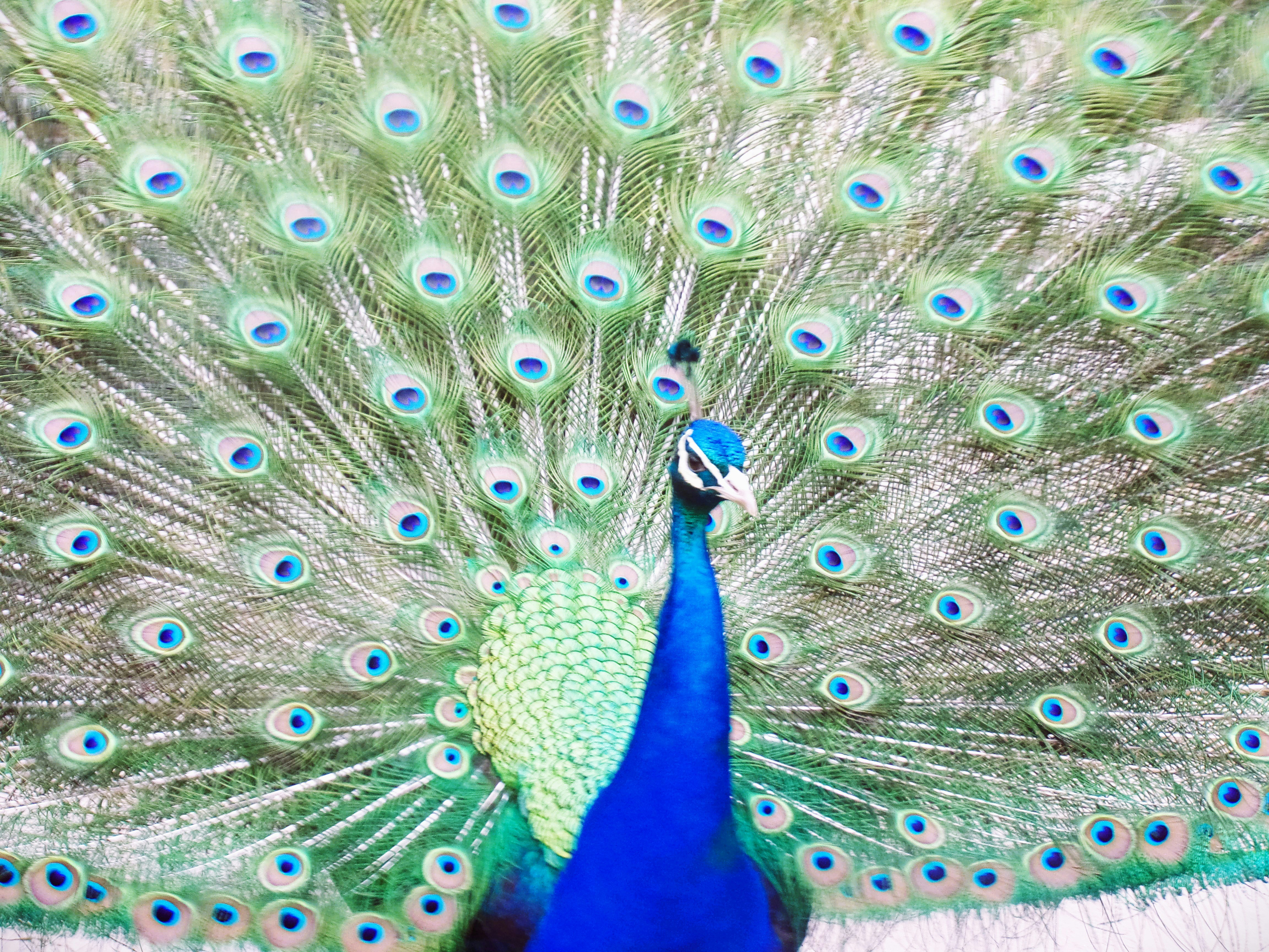 Photo by novo_aspectu