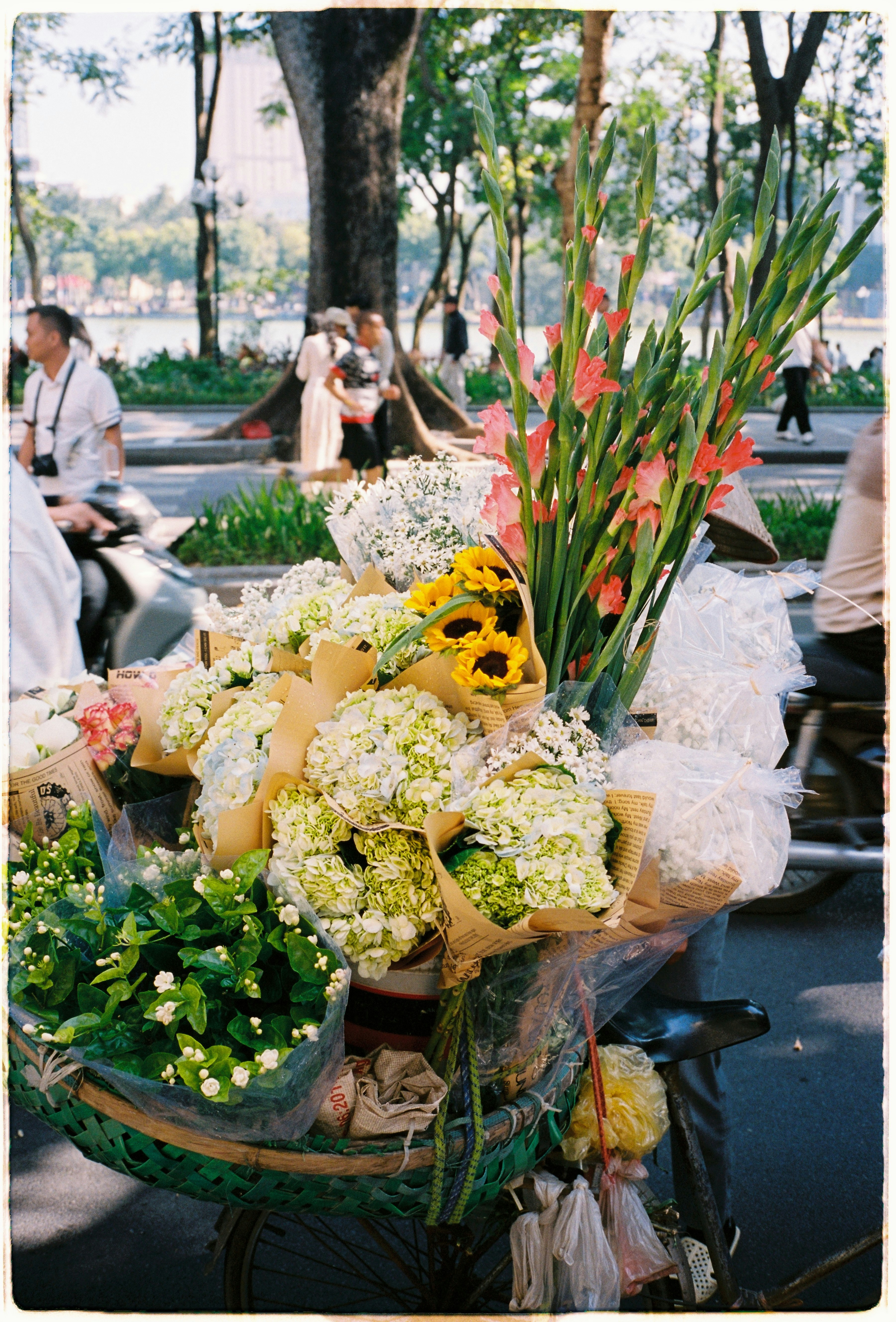 A bicycle laden with bouquets of flowers on a street.