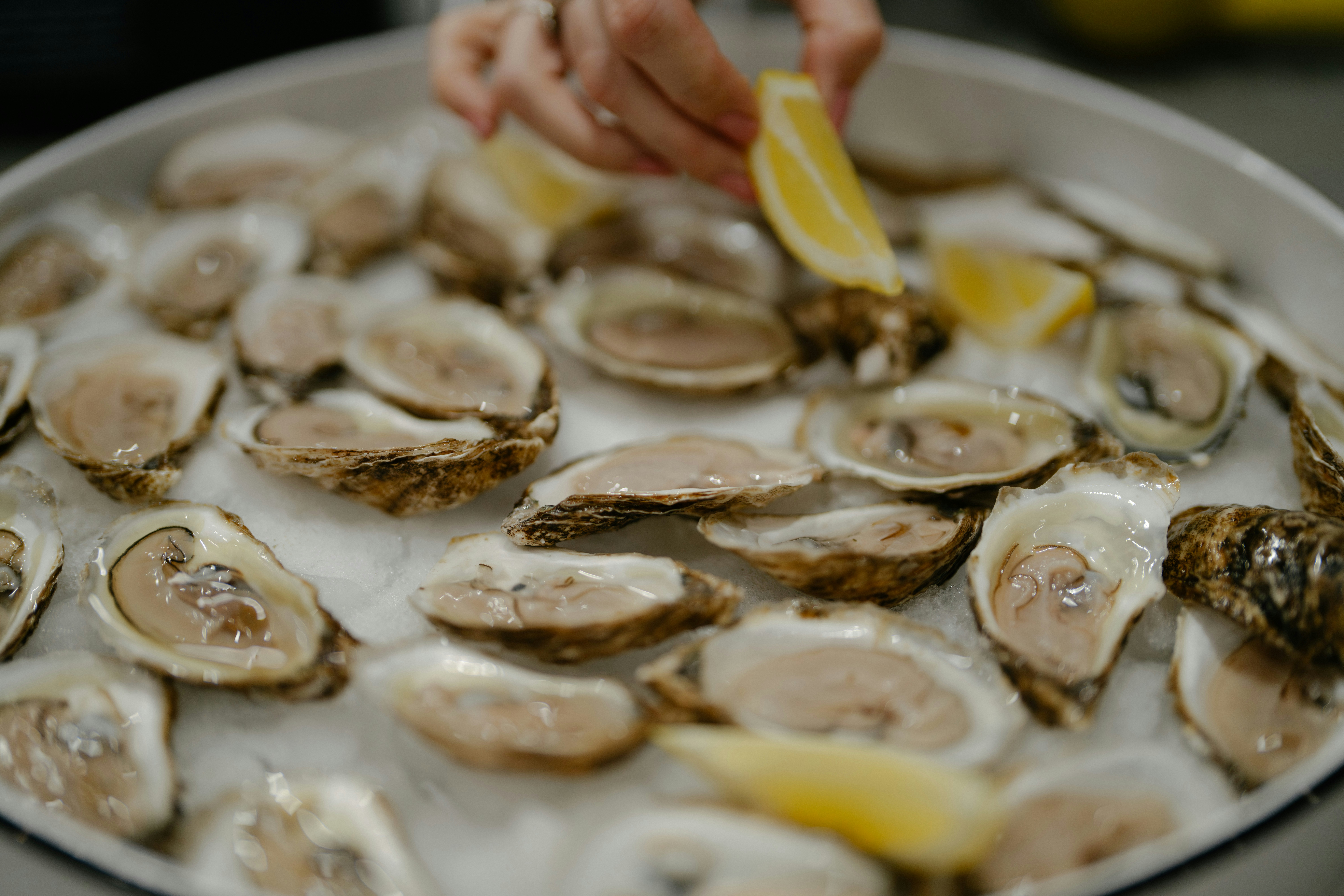 Fresh oysters on ice with lemon wedges at an oyster bar, the classic way to eat oysters