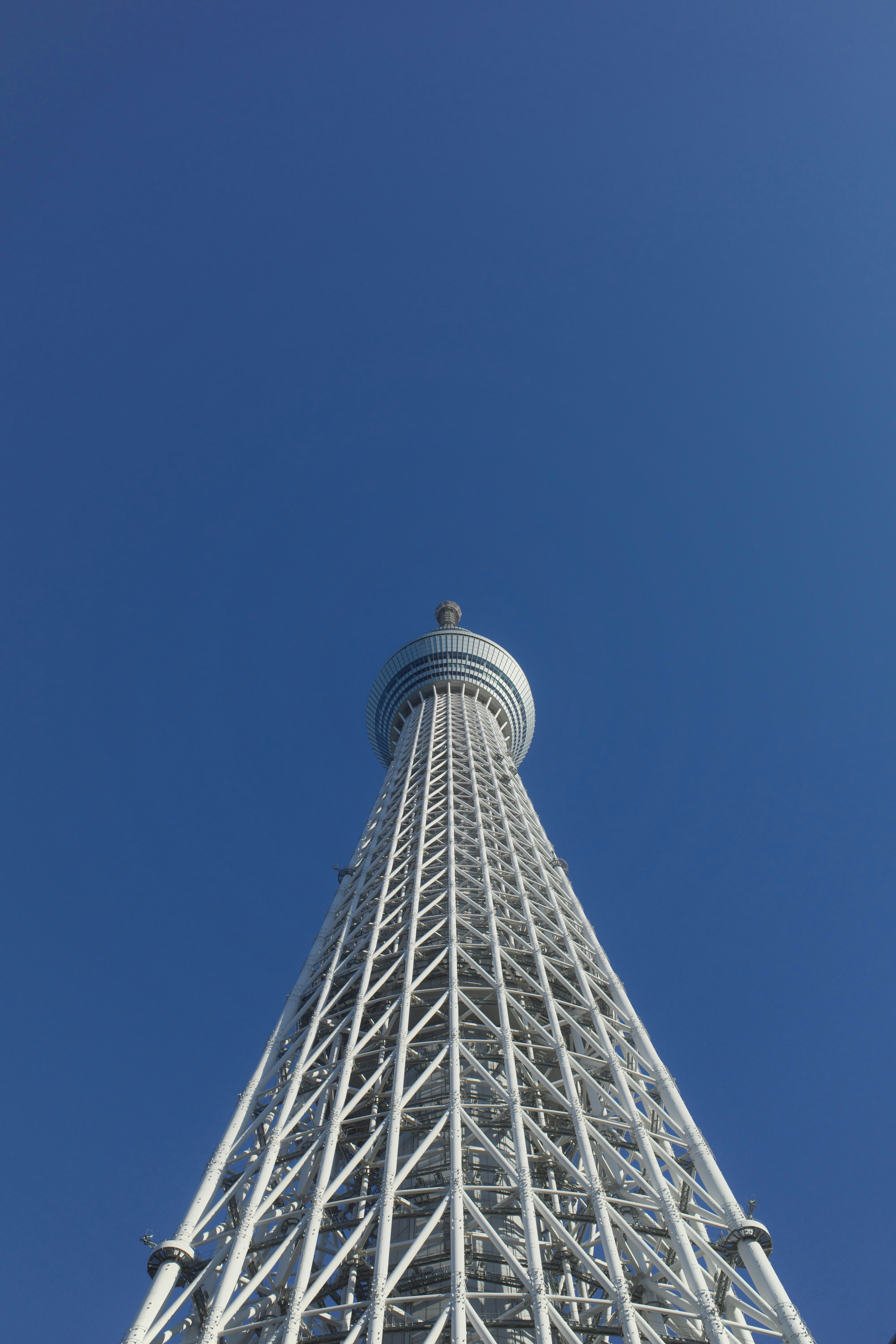 Photo by destroymayor