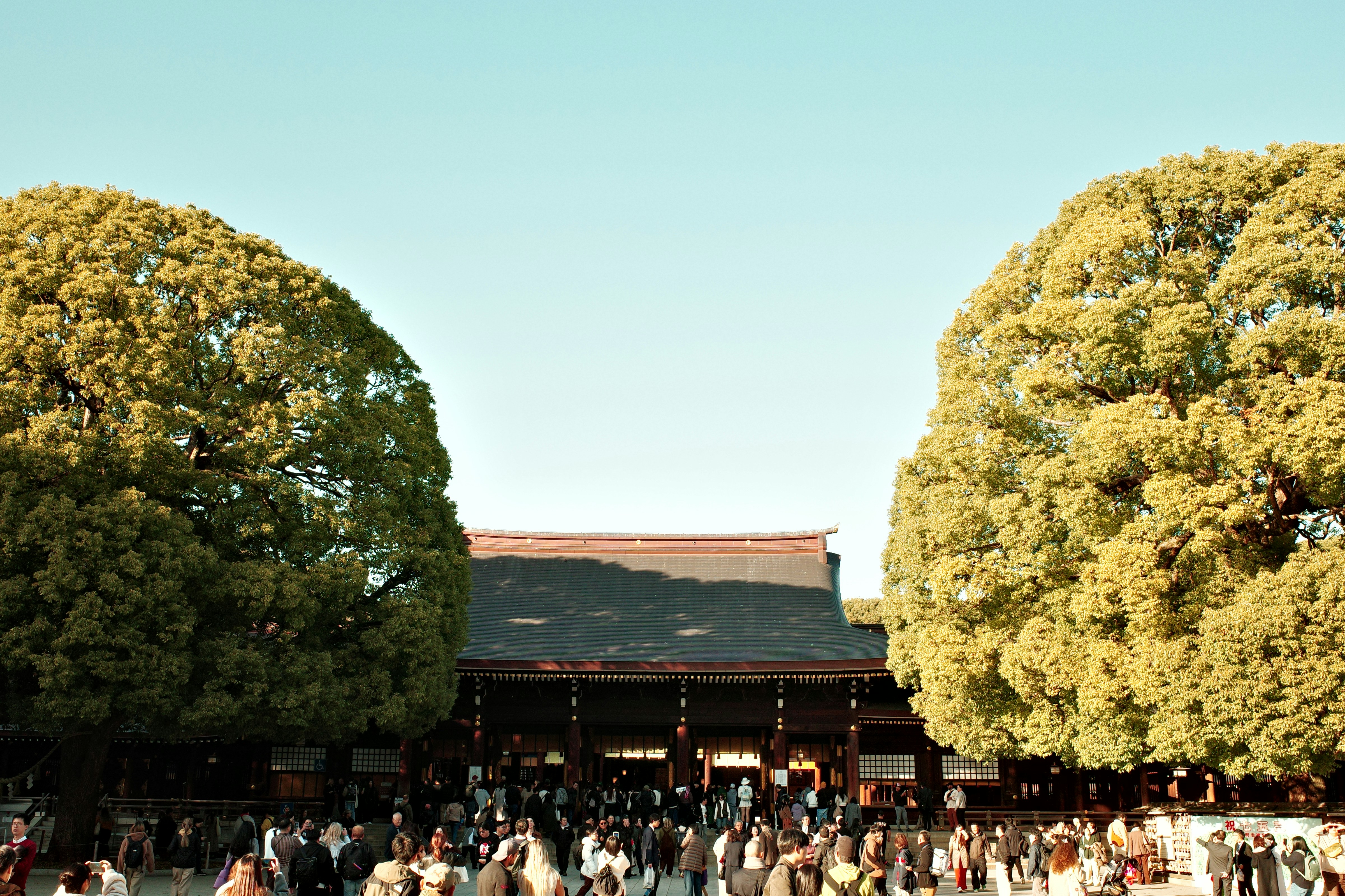 Massive crowd walking towards Meiji Jingu shrine during Hatsumode