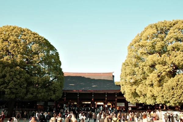 Visitors in the courtyard of Meiji Jingu in Tokyo.