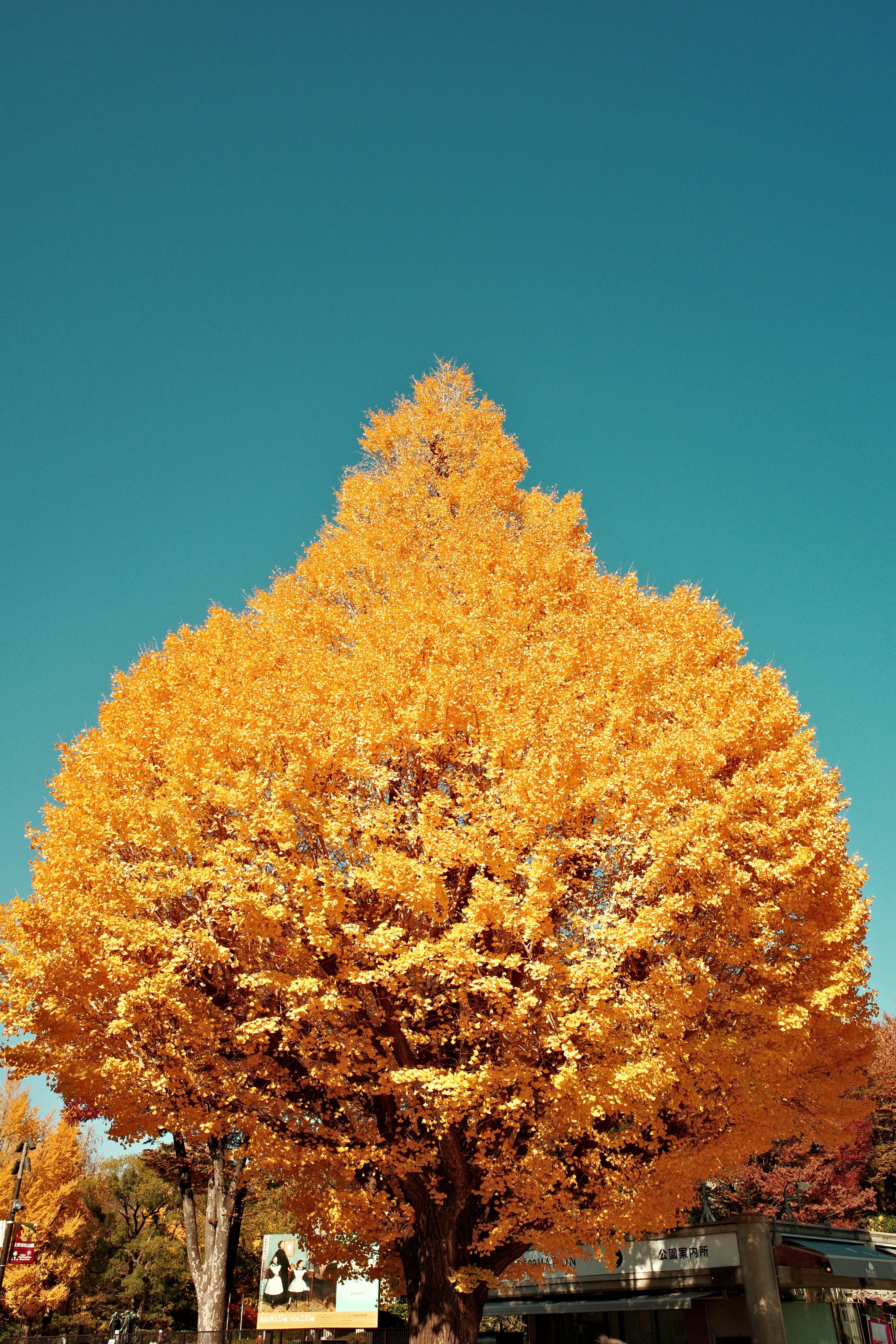 Photo by destroymayor