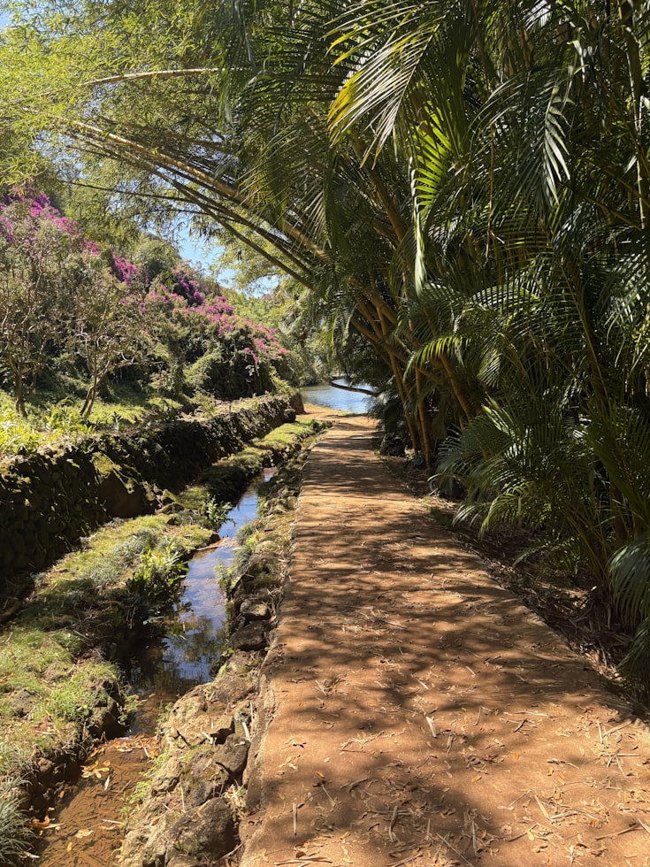 Tropical Paradise Garden