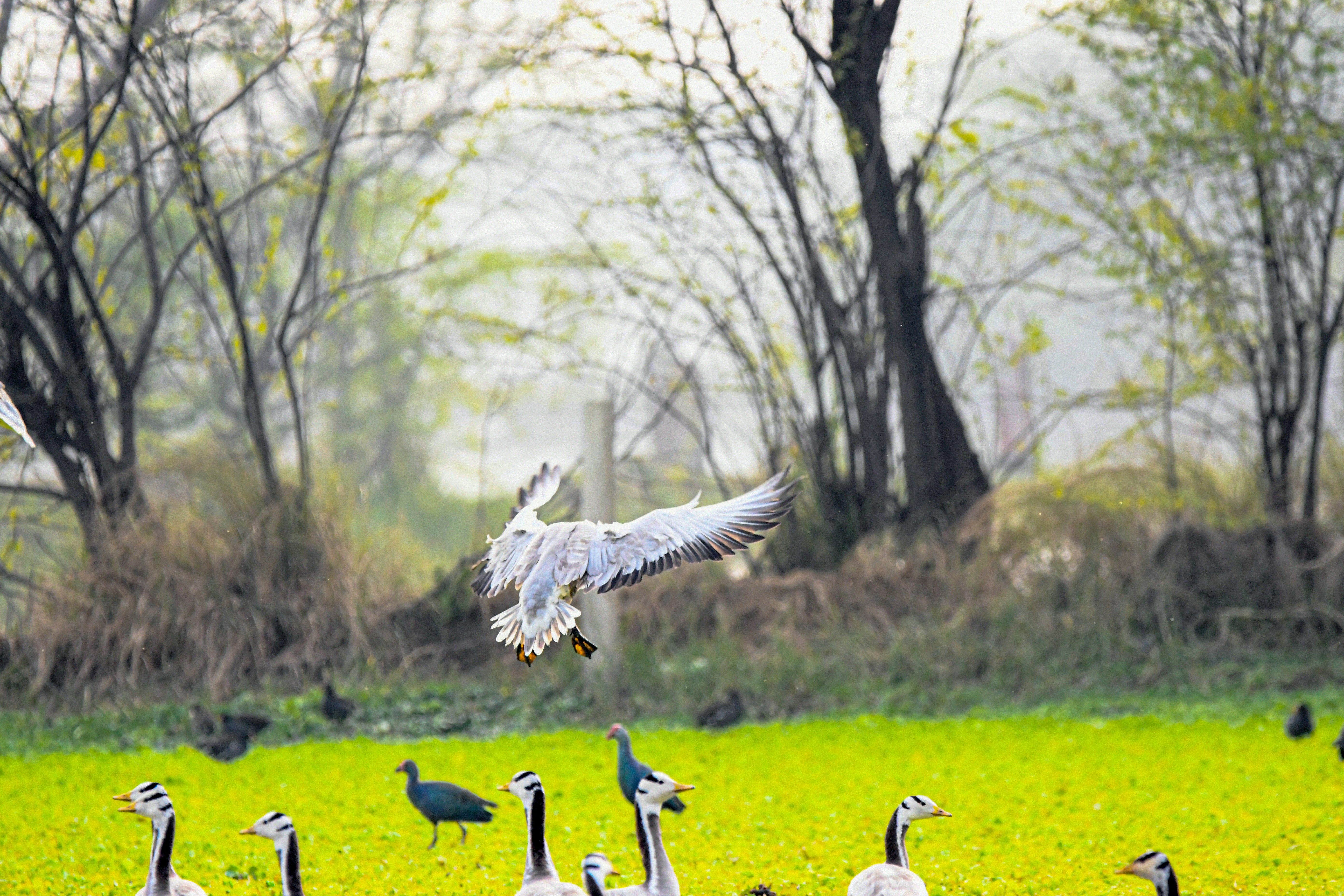 Photo by amitrai10