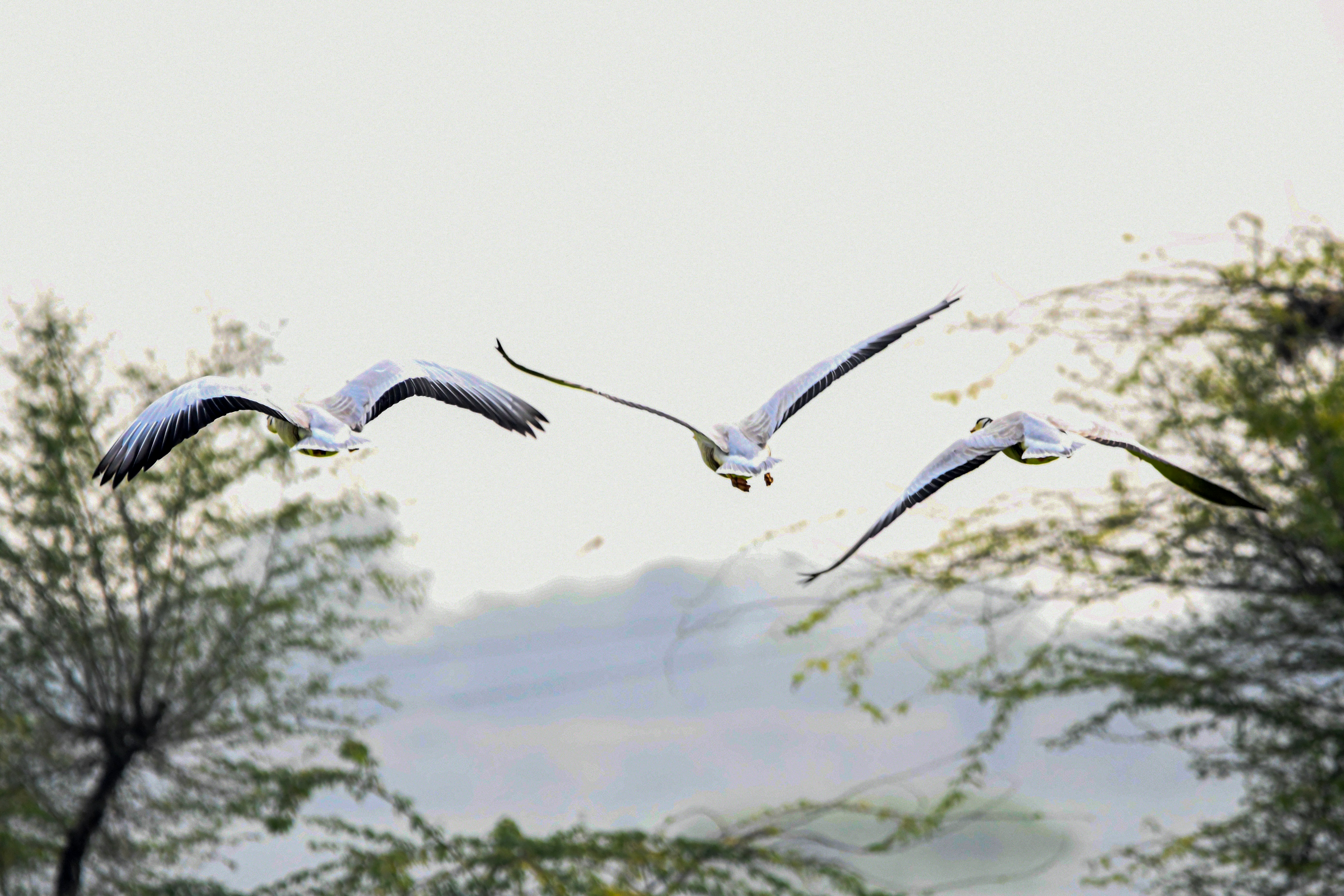 Recovering Lost Booking Pages and Migration Forensics: A Practical Guide (2026)