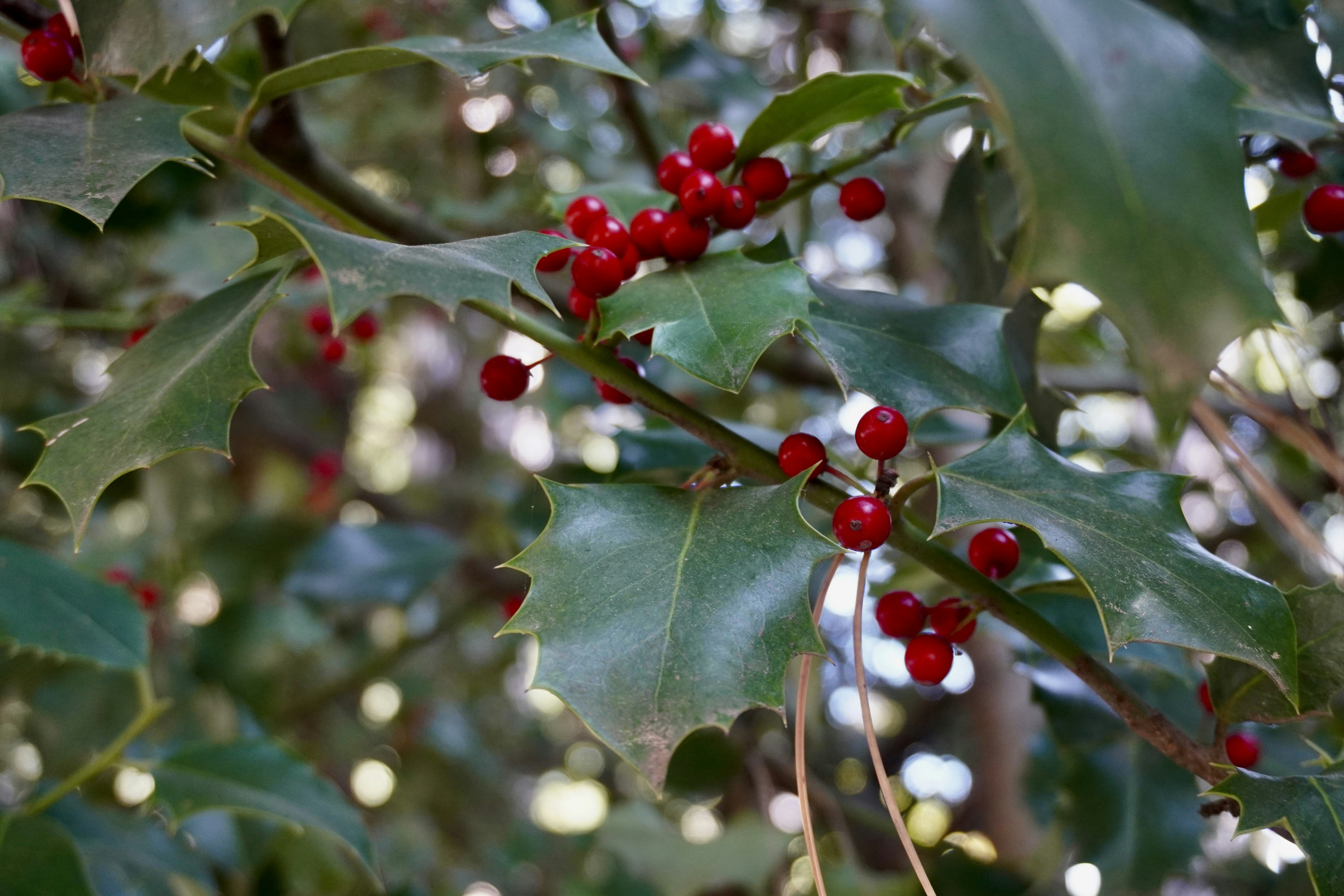 Photo by nesrinphoto