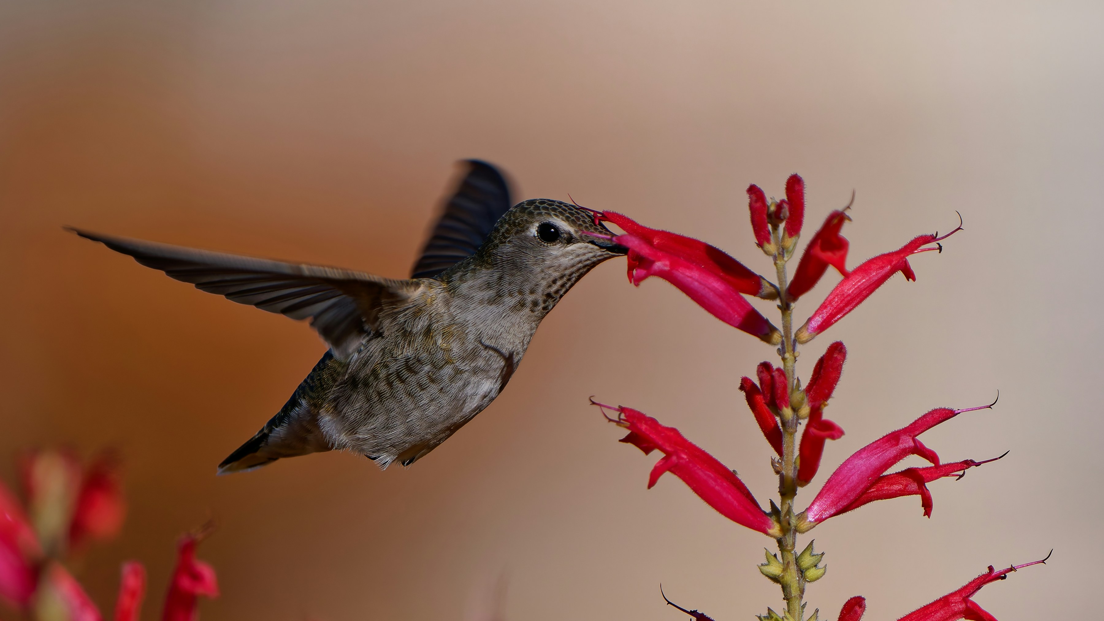 Photo by patrickbigelow_zoom_in