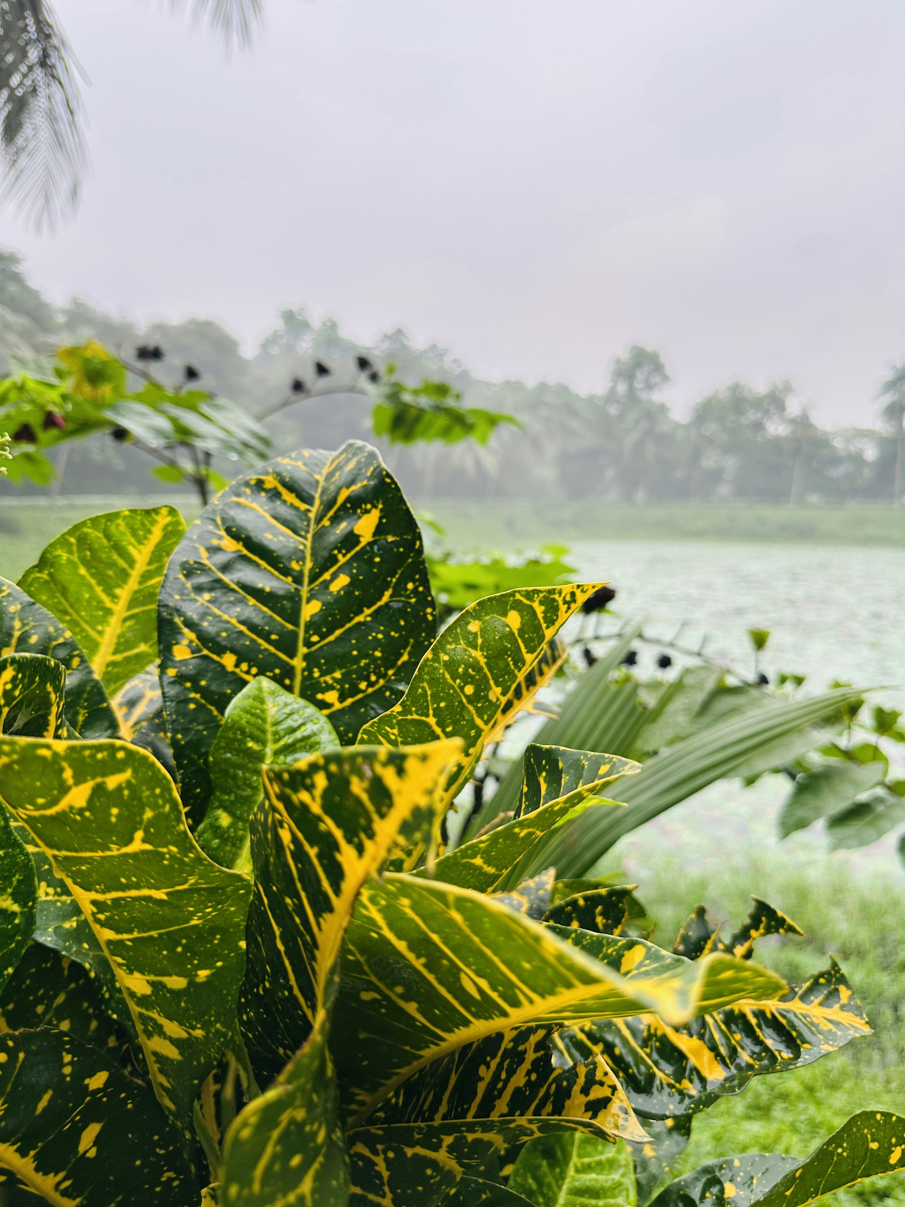 Photo by ashiqul7237