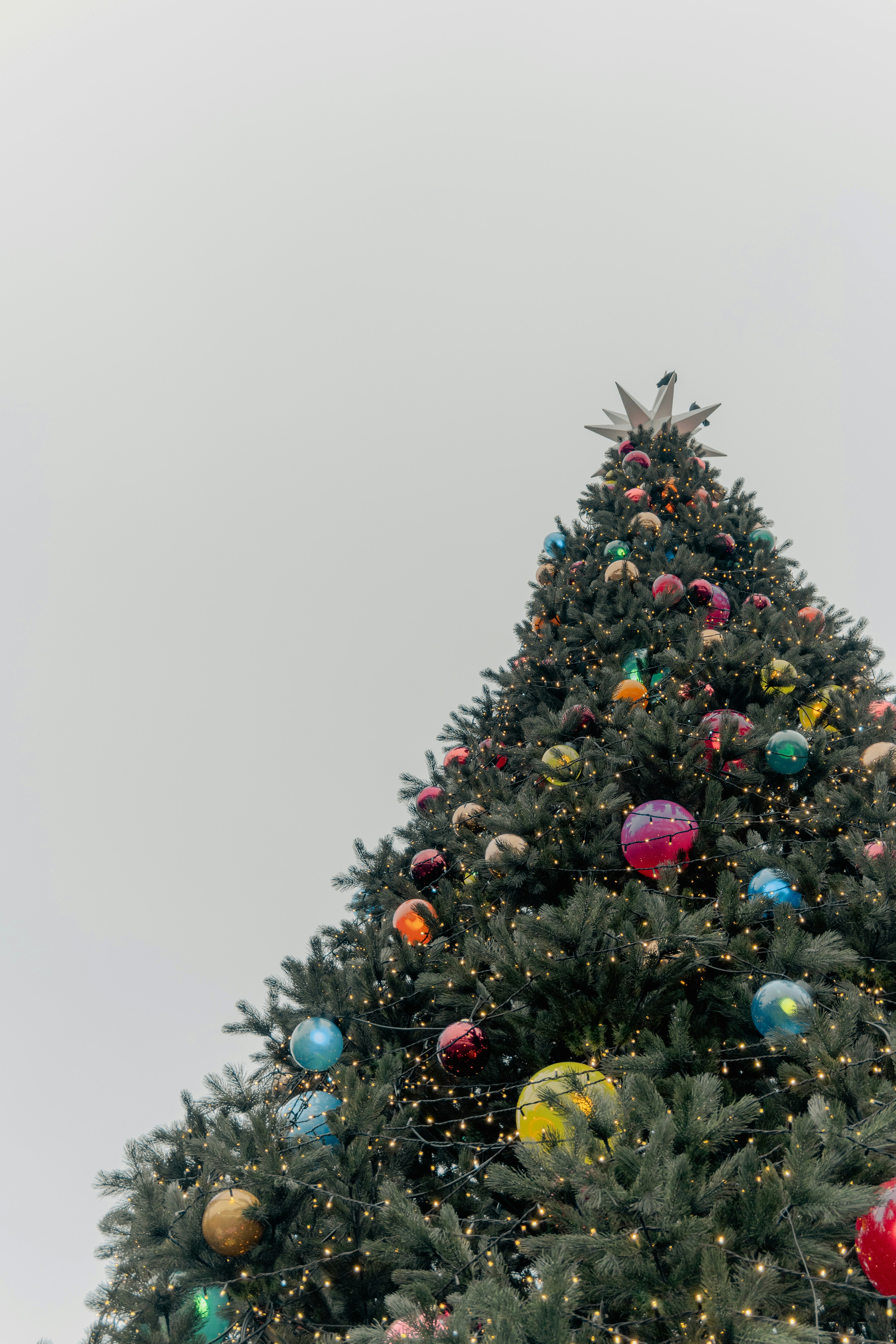 Photo by eugenivy_now