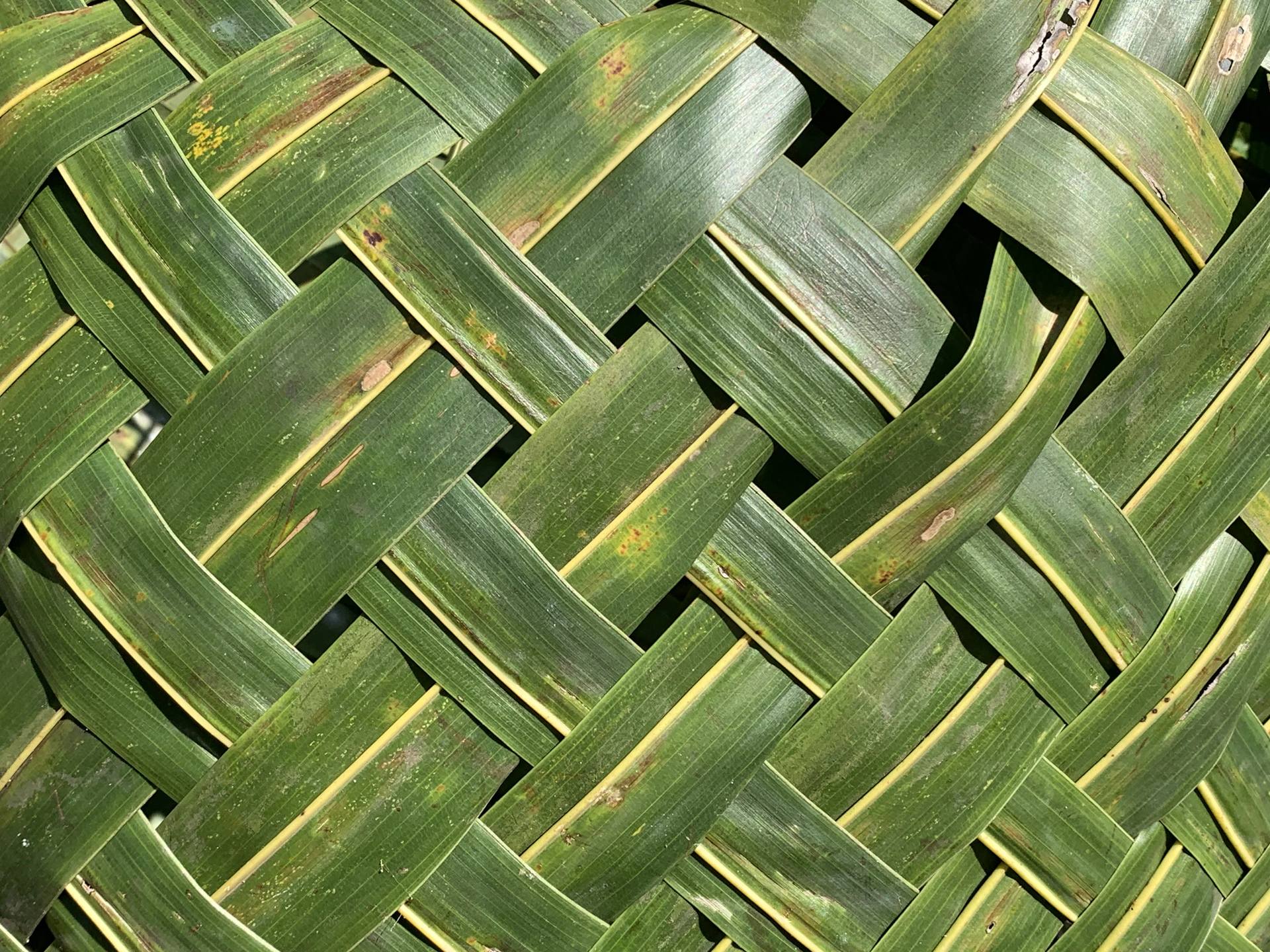 Woven green palm leaves create a textured pattern