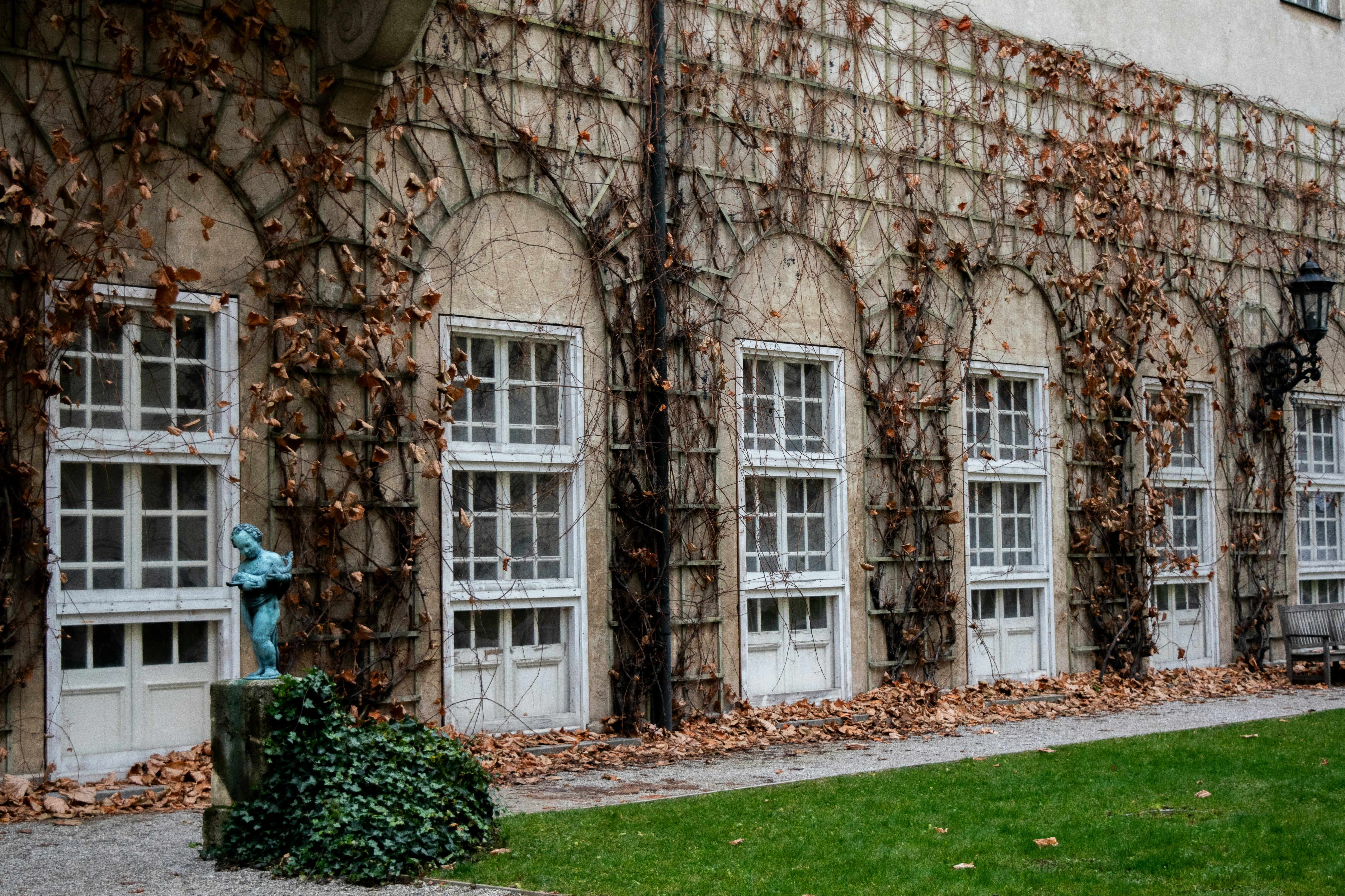Building with arched windows and ivy on wall