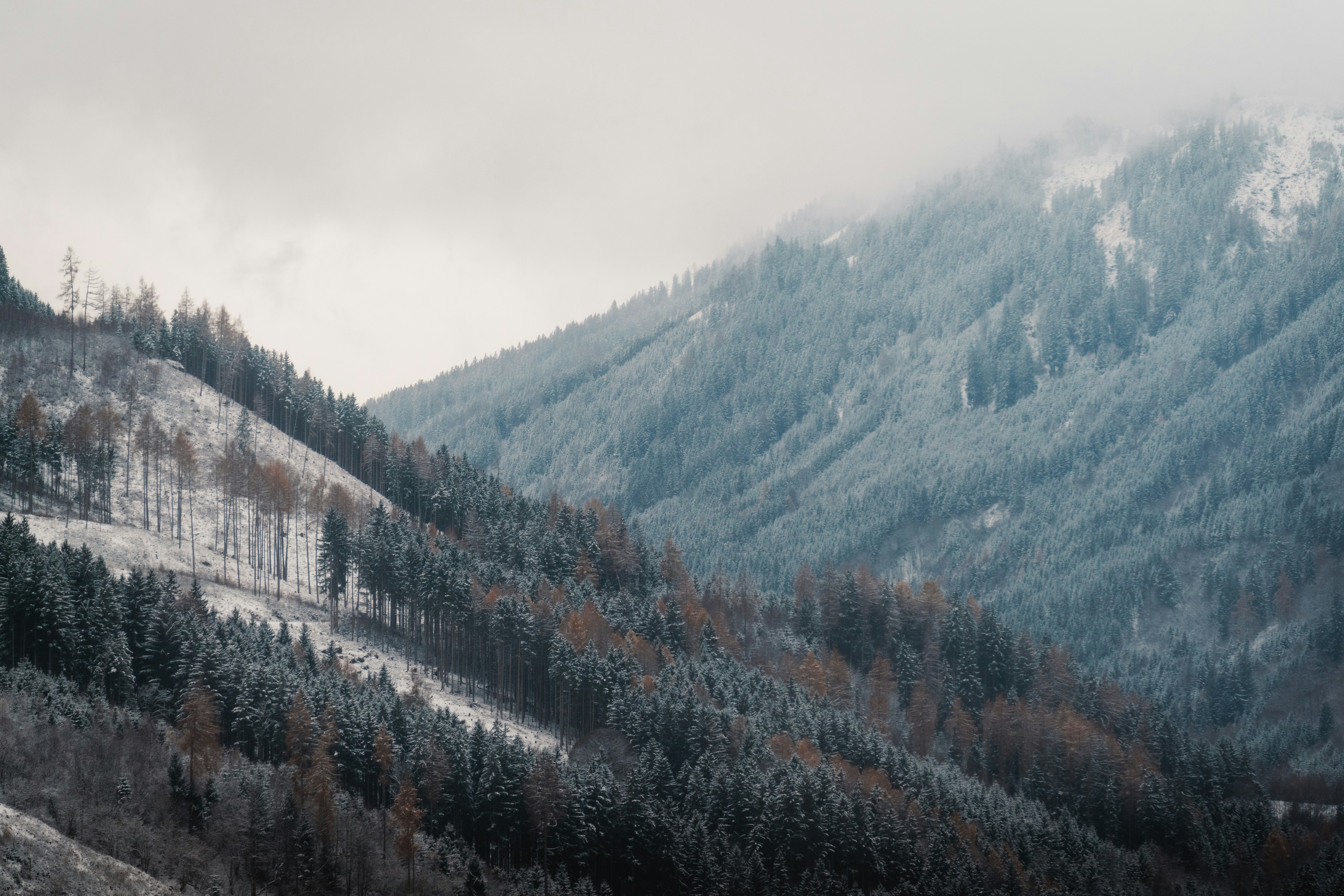 Photo by ahmetyuksek