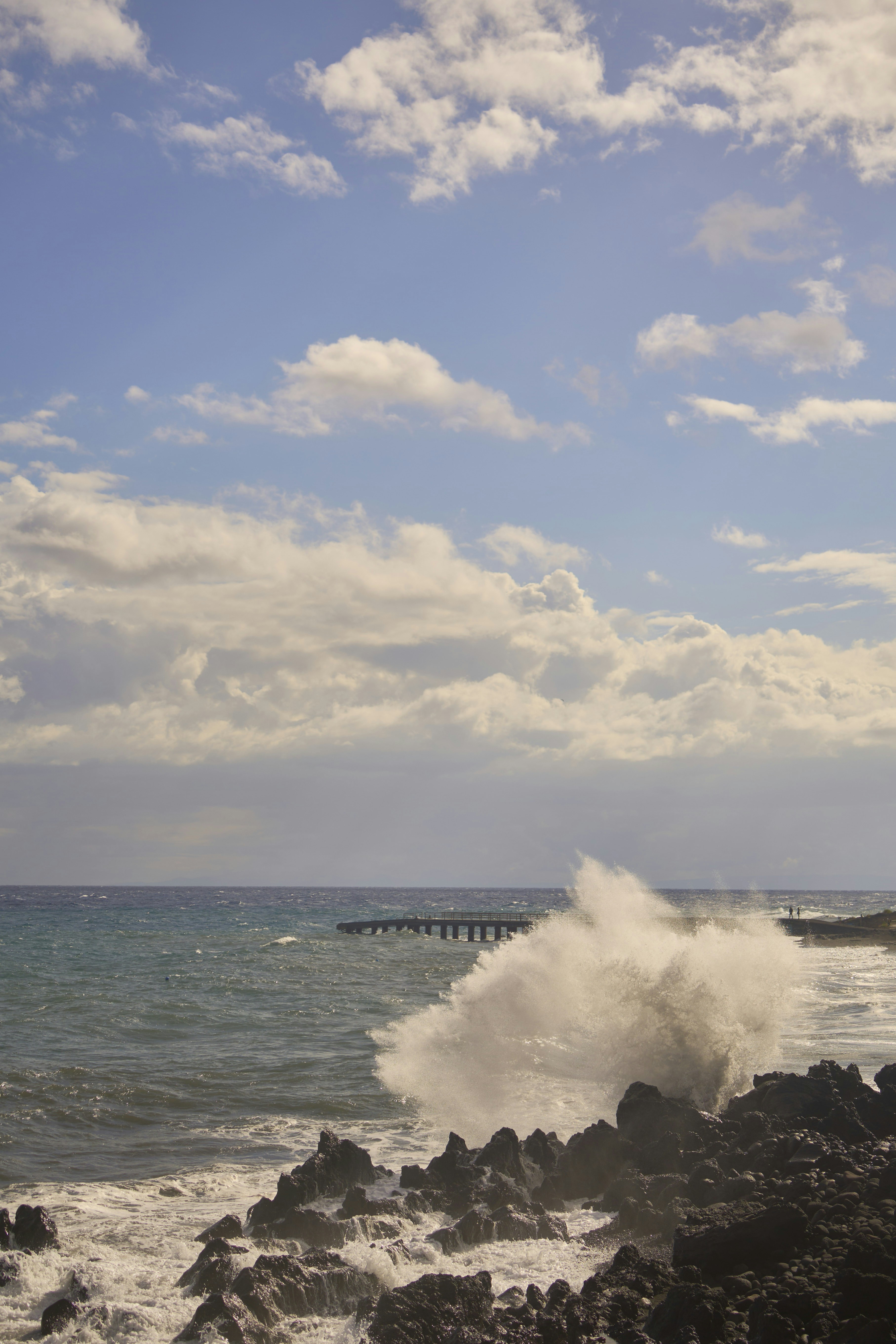 Photo by wolfgang_hasselmann