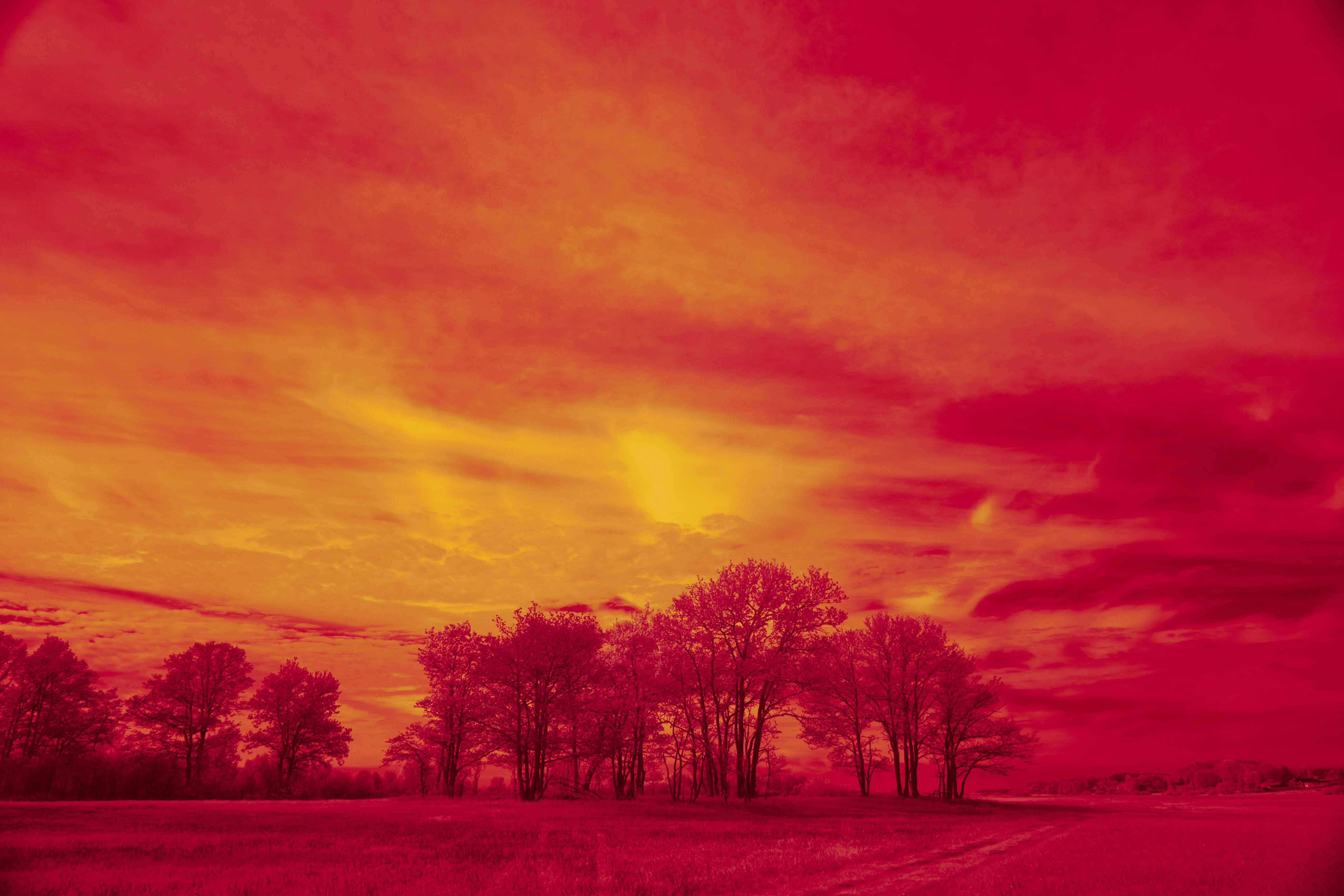 Photo by wolfgang_hasselmann