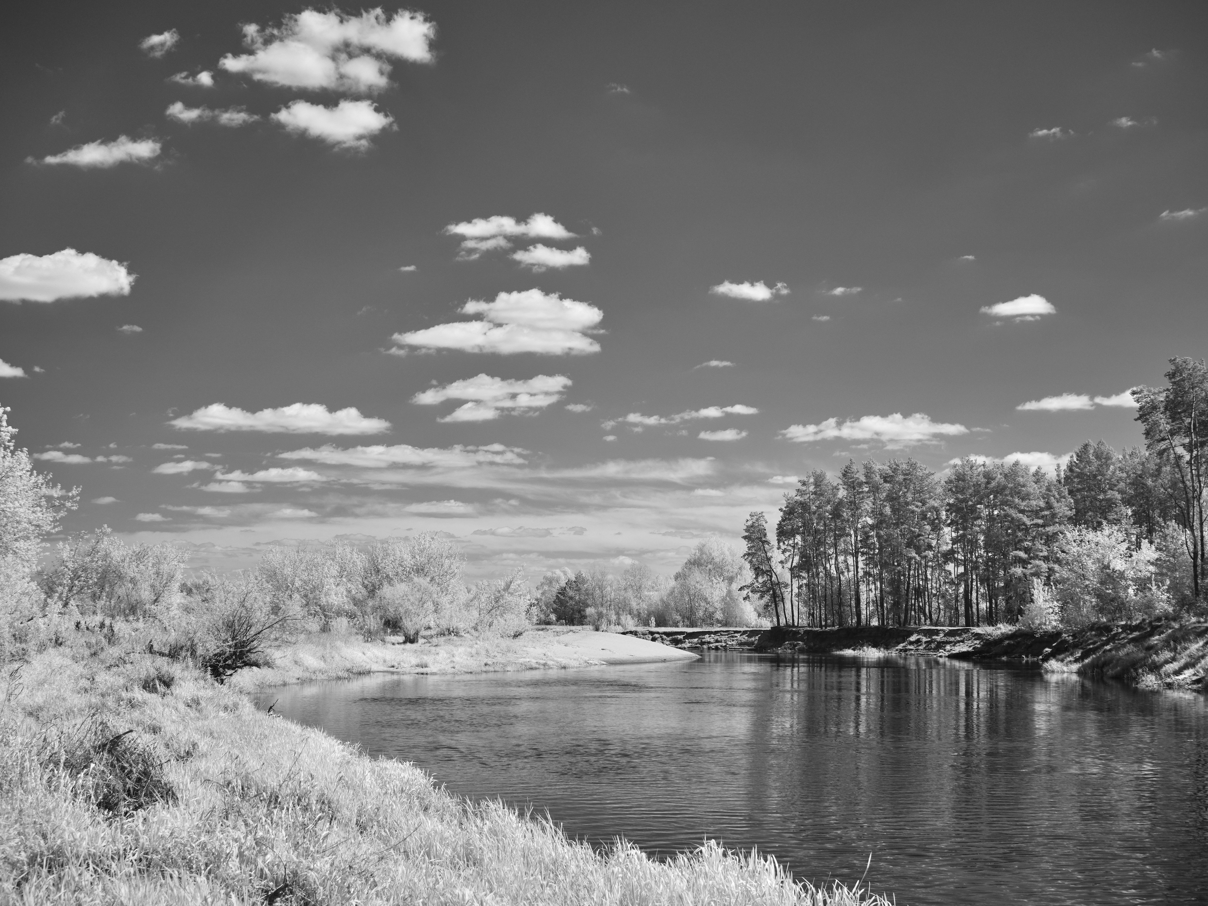 Photo by wolfgang_hasselmann