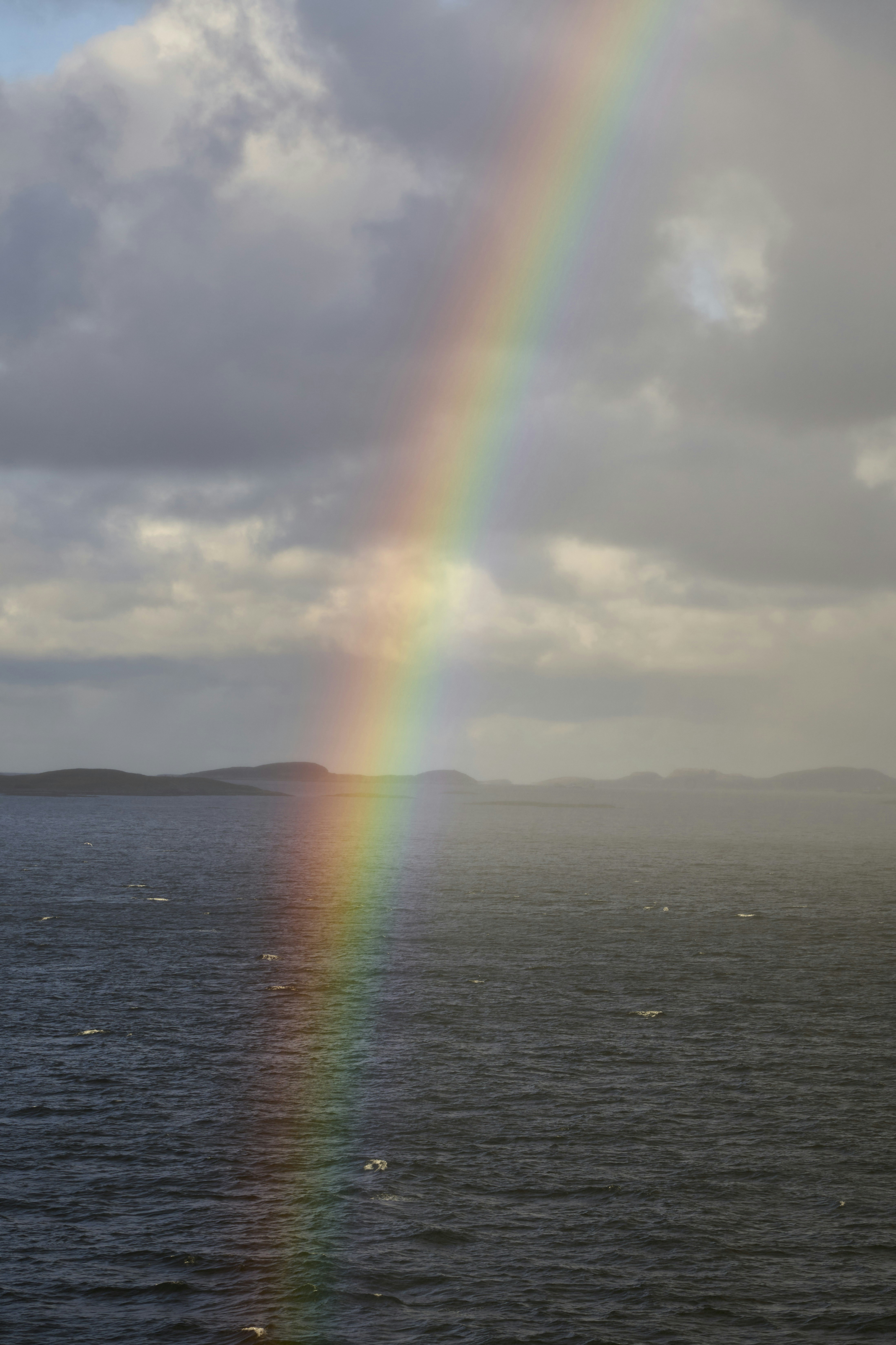 Photo by wolfgang_hasselmann