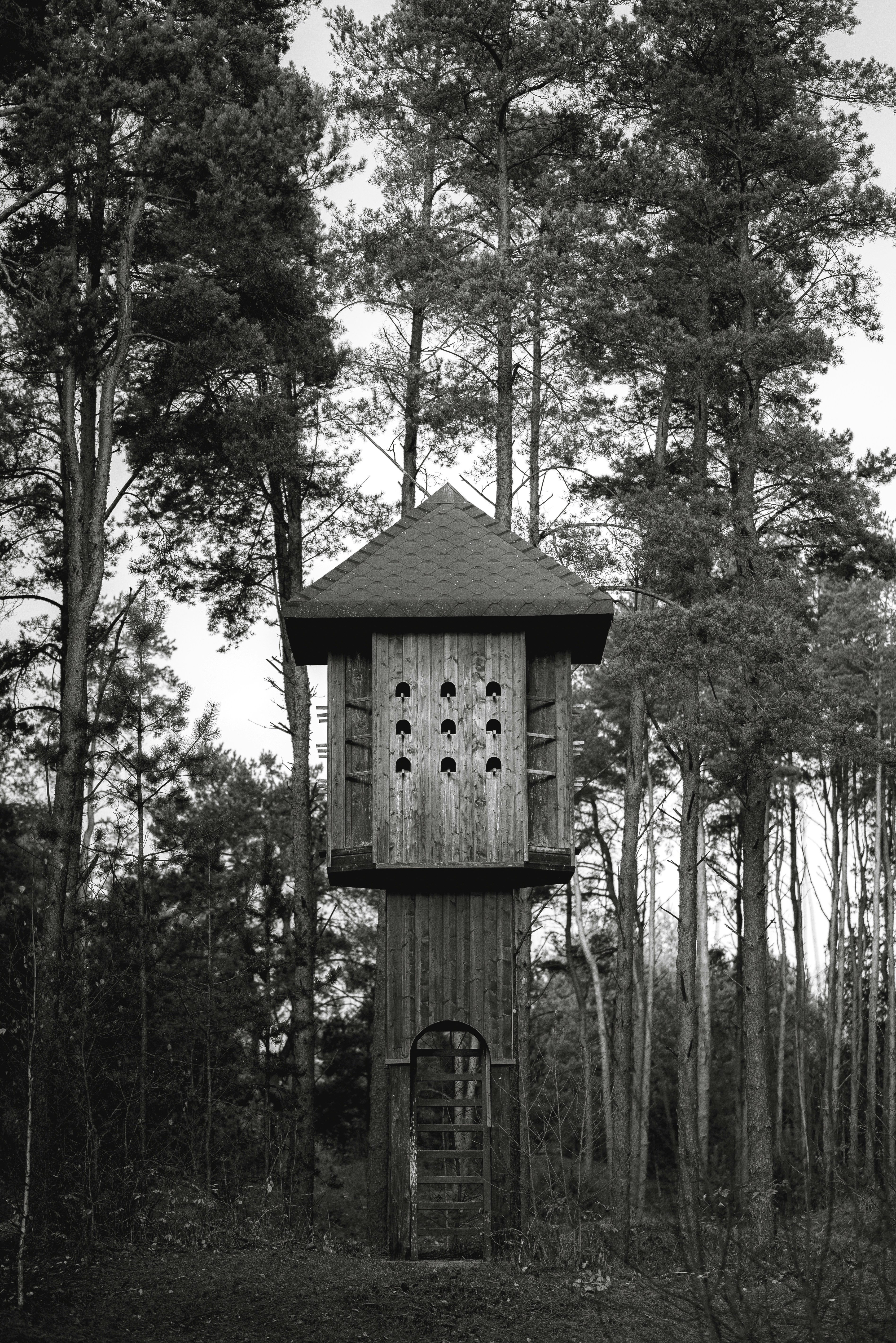 Wooden birdhouse structure in a forest setting of tall trees.