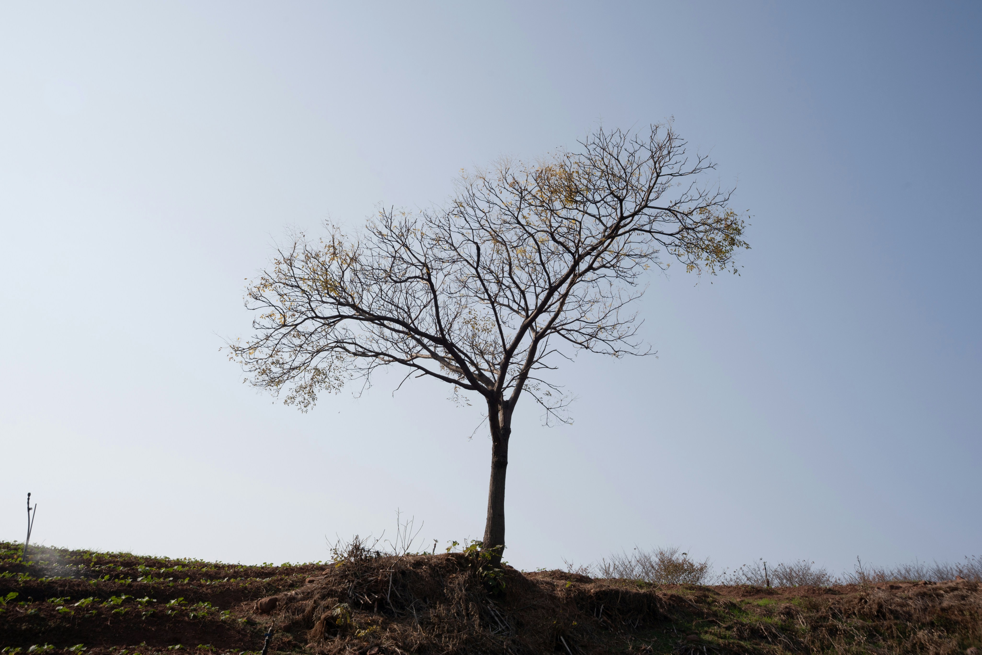 Photo by kevinwang413156